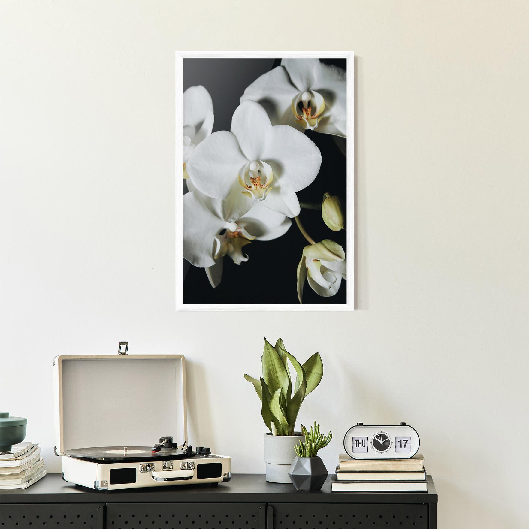 Рамкиран постер White Orchid On Black mockup 2