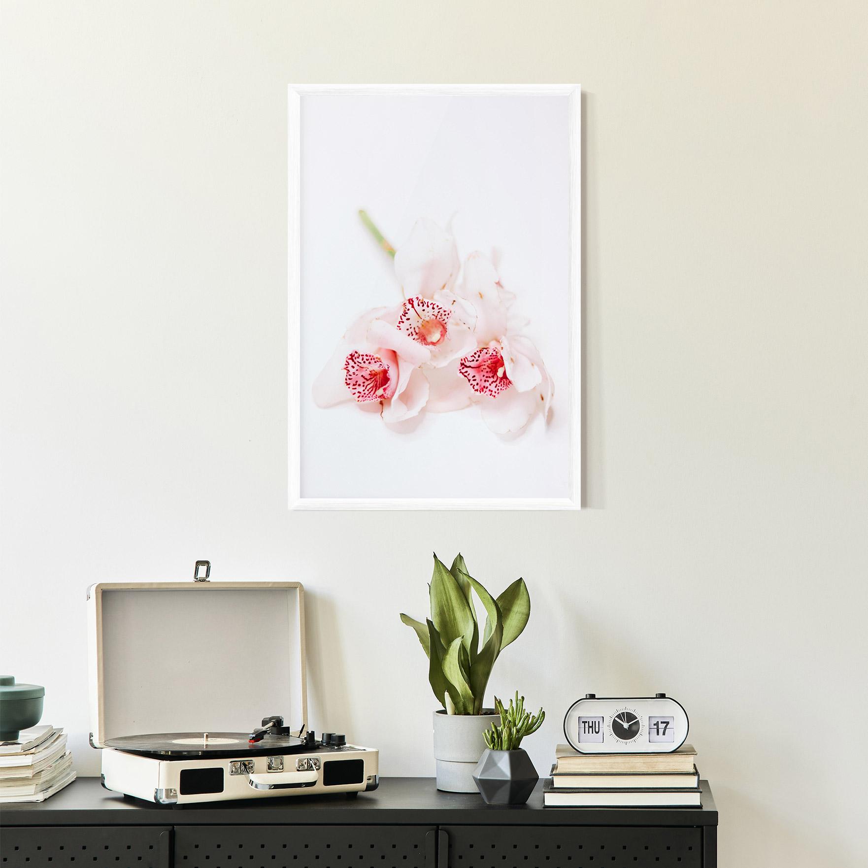 Рамкиран постер White Orchid With Pink mockup 2
