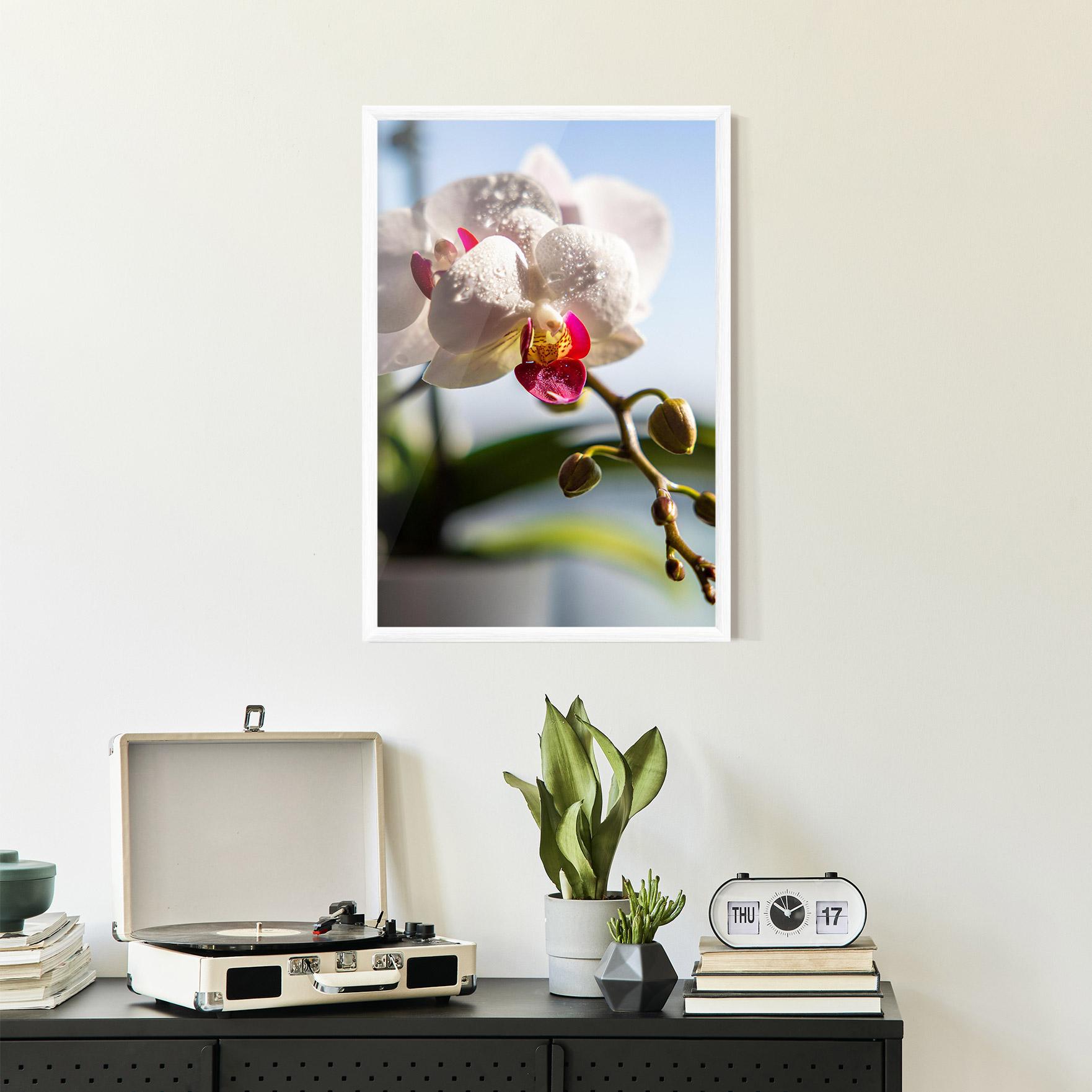Рамкиран постер White Orchid With Water mockup 2