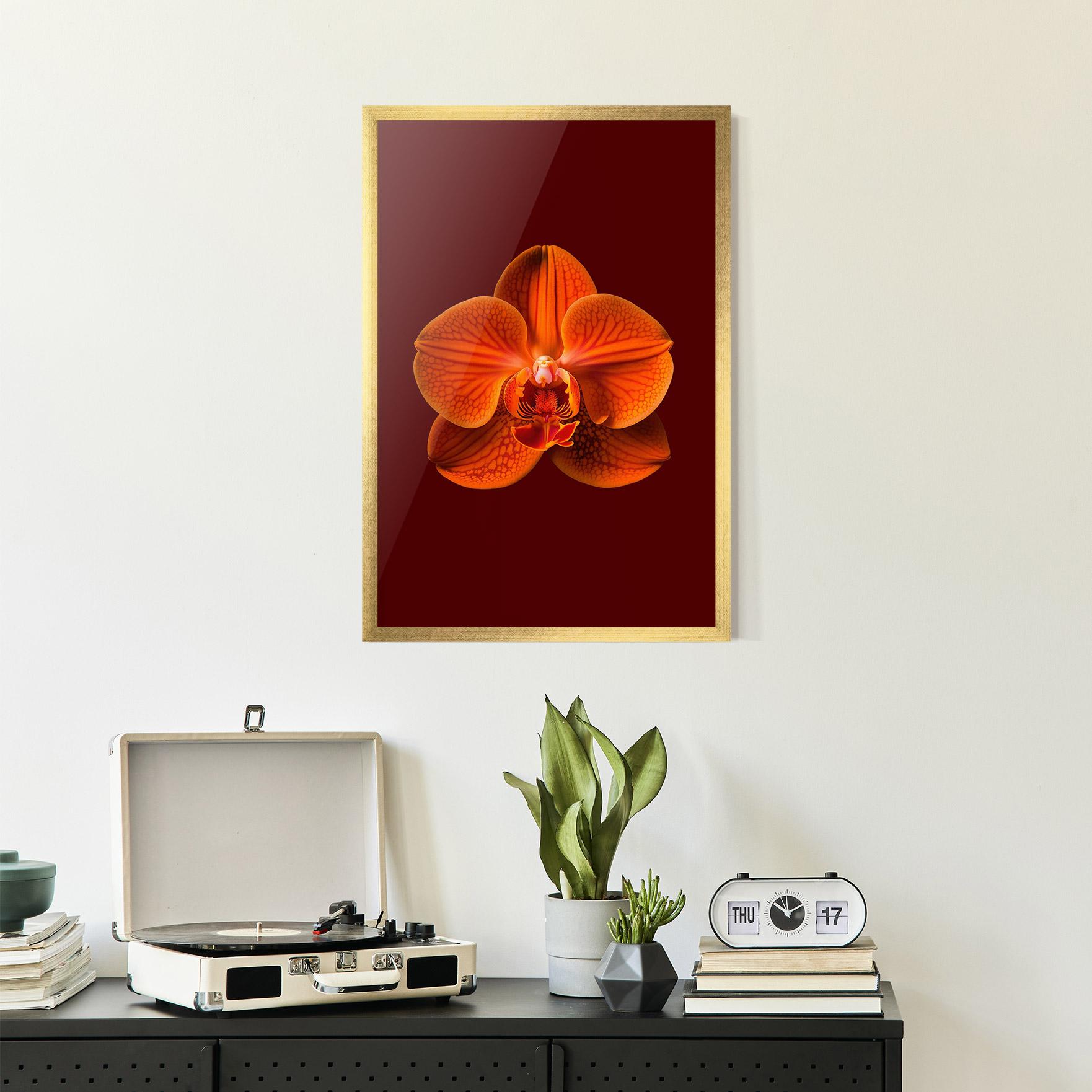 Рамкиран постер Strong Orange Orchid mockup 2