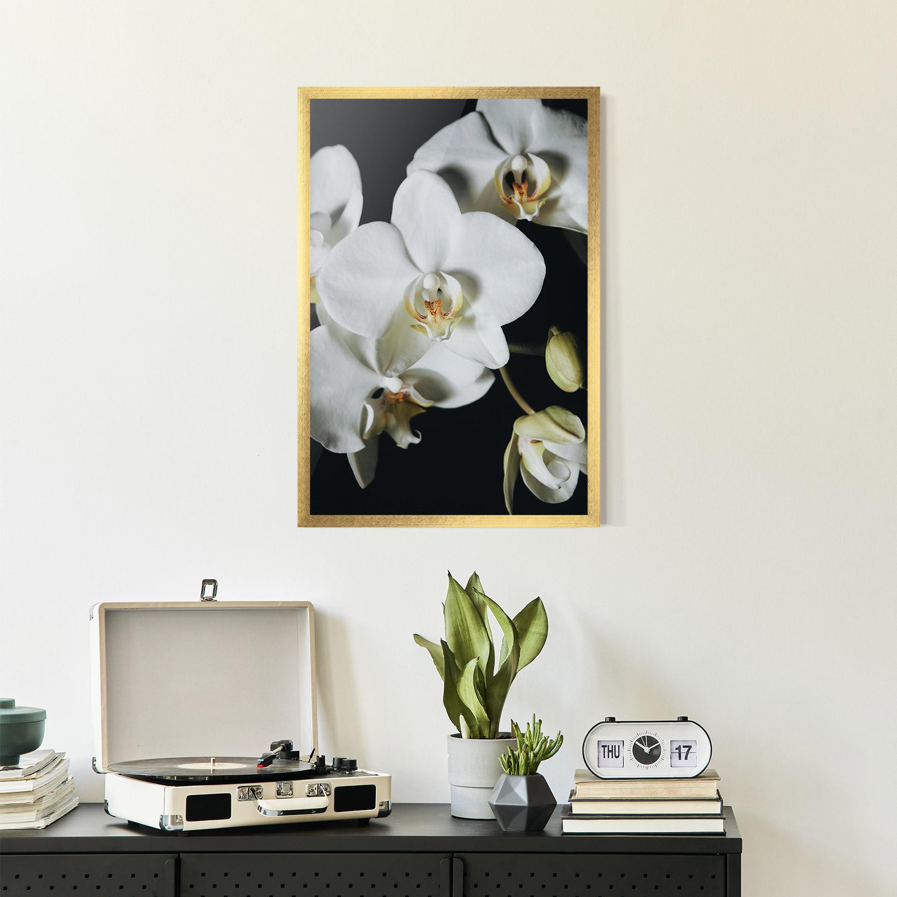 Рамкиран постер White Orchid On Black mockup 2
