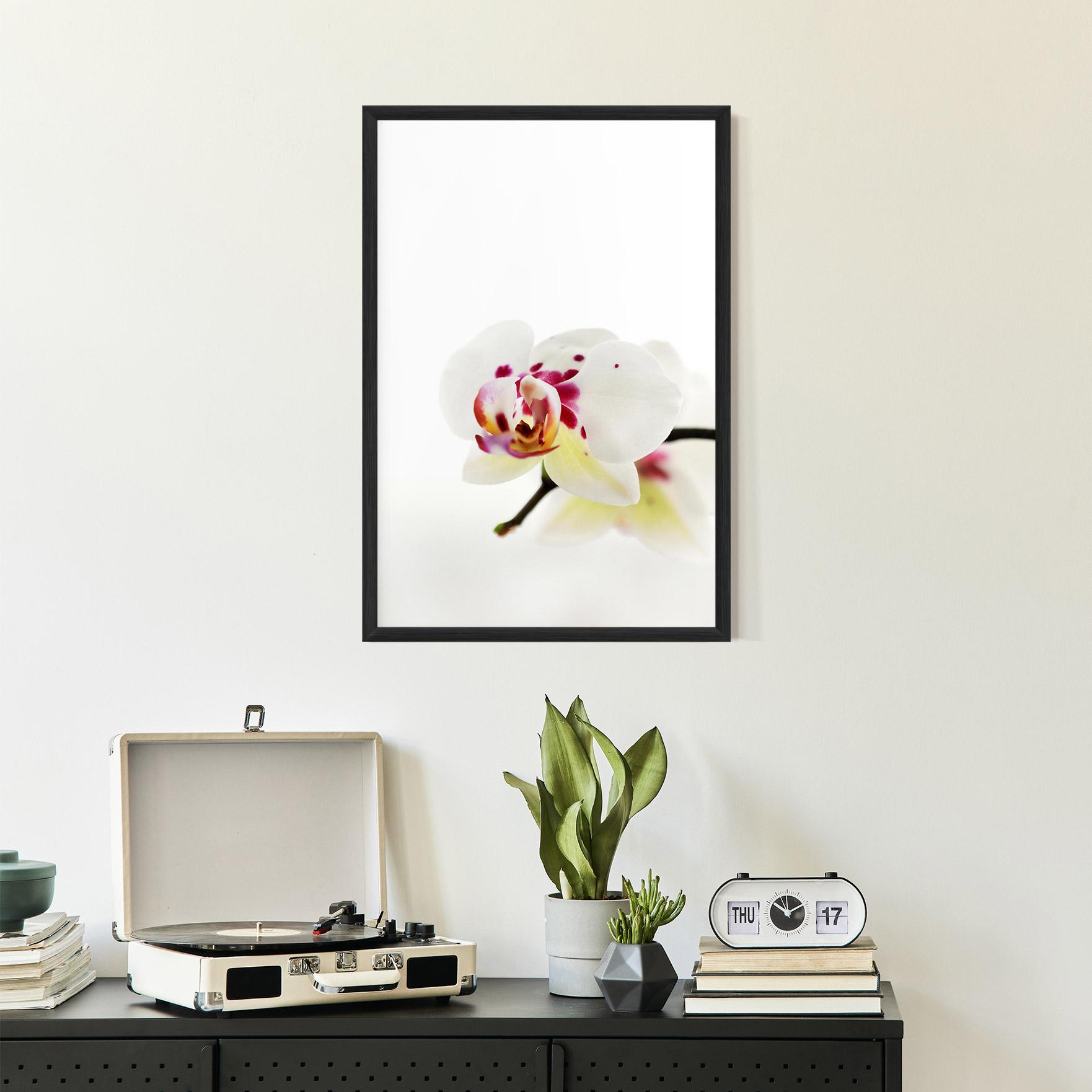 Рамкиран постер Clean White Orchid mockup 2