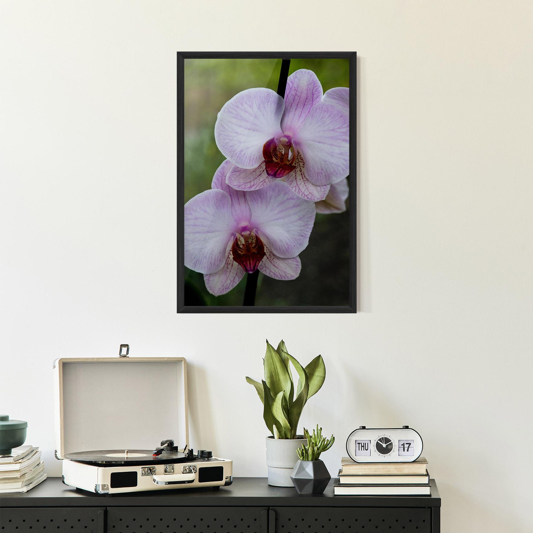 Рамкиран постер Garden Light Purple Orchid mockup 2