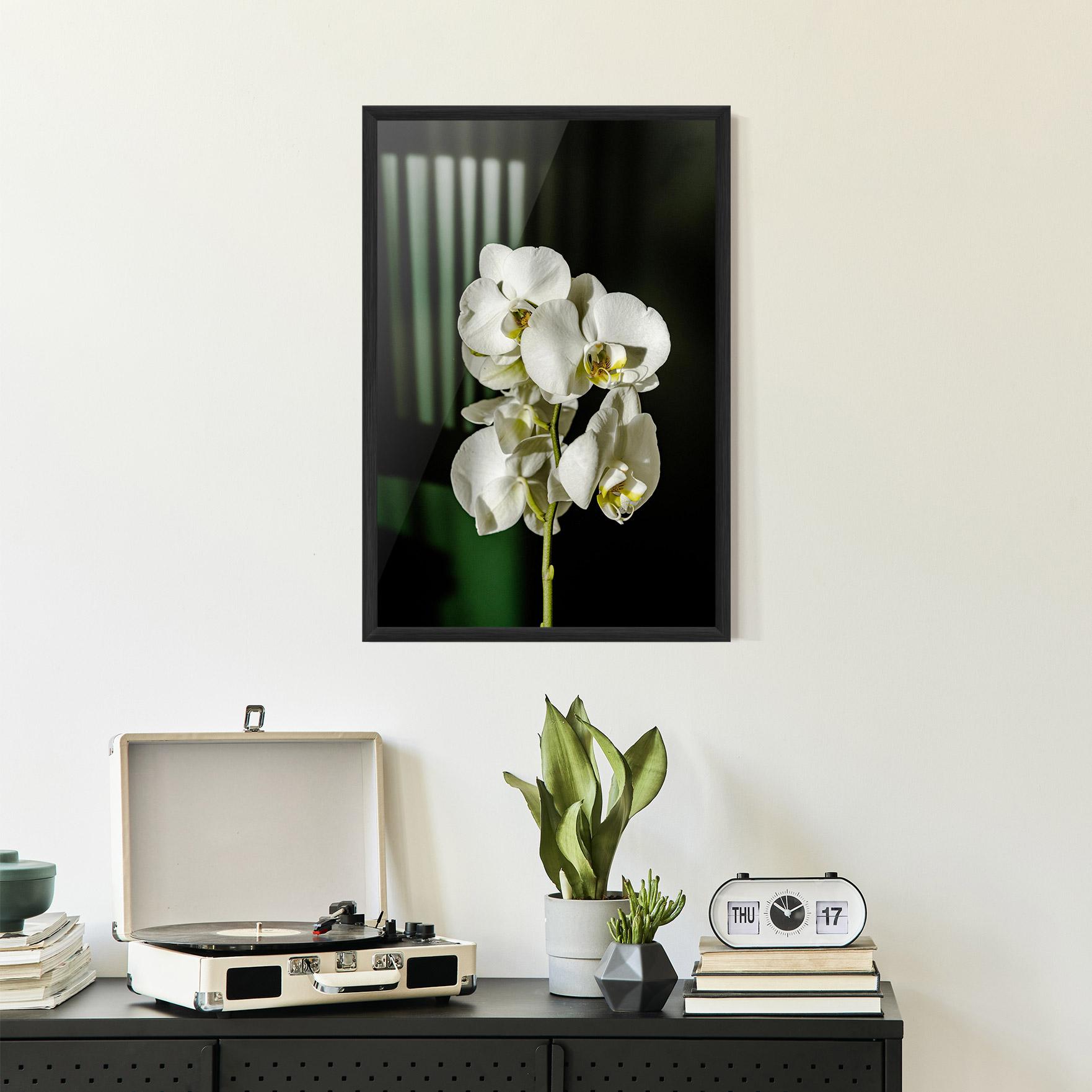Рамкиран постер Orchid On Green mockup 2