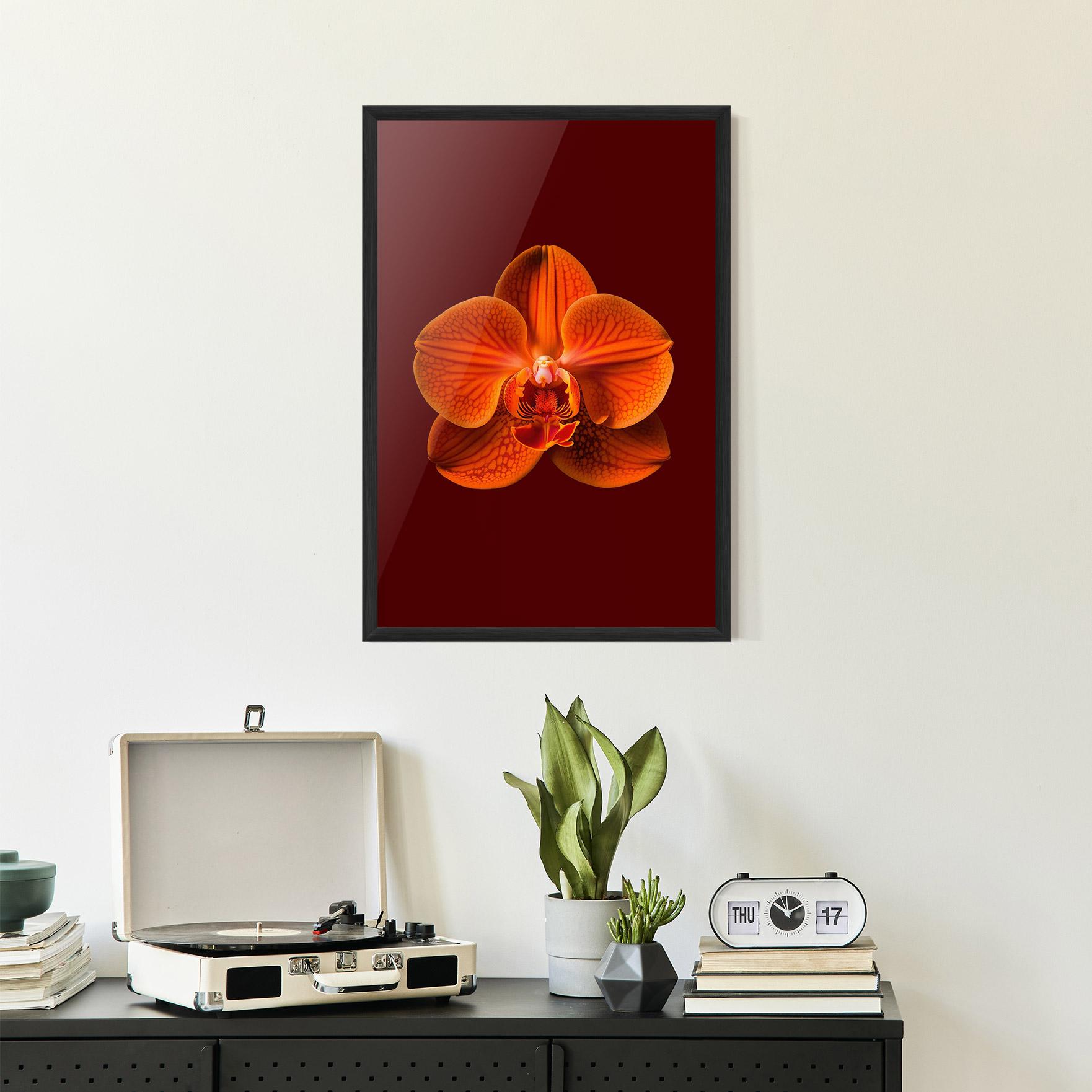 Рамкиран постер Strong Orange Orchid mockup 2