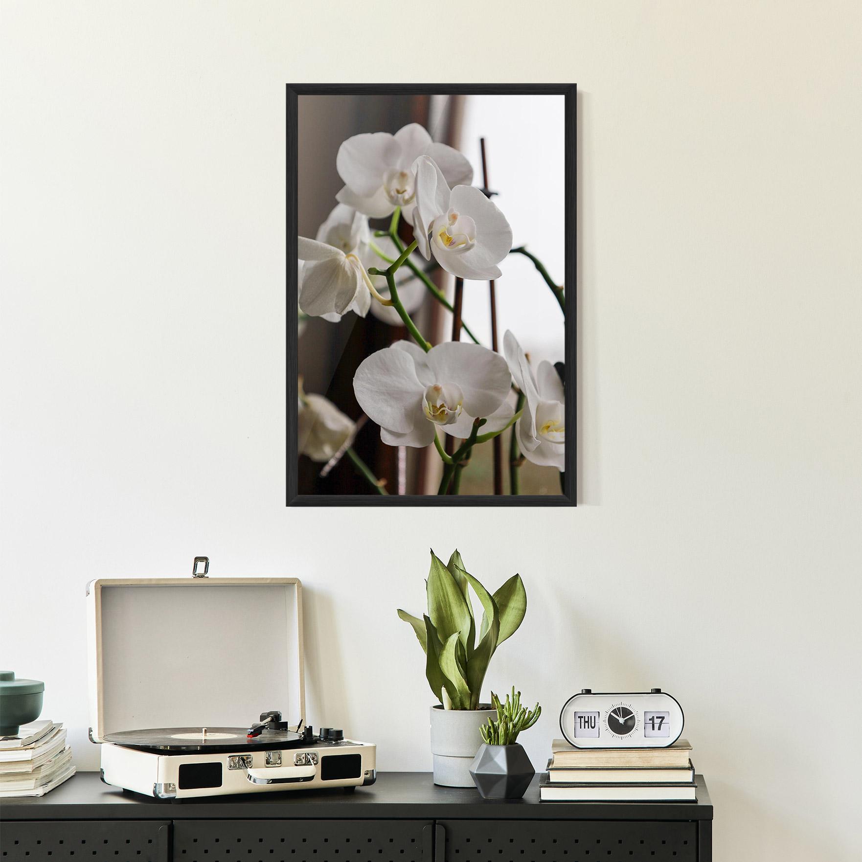 Рамкиран постер White Orchid Growing mockup 2