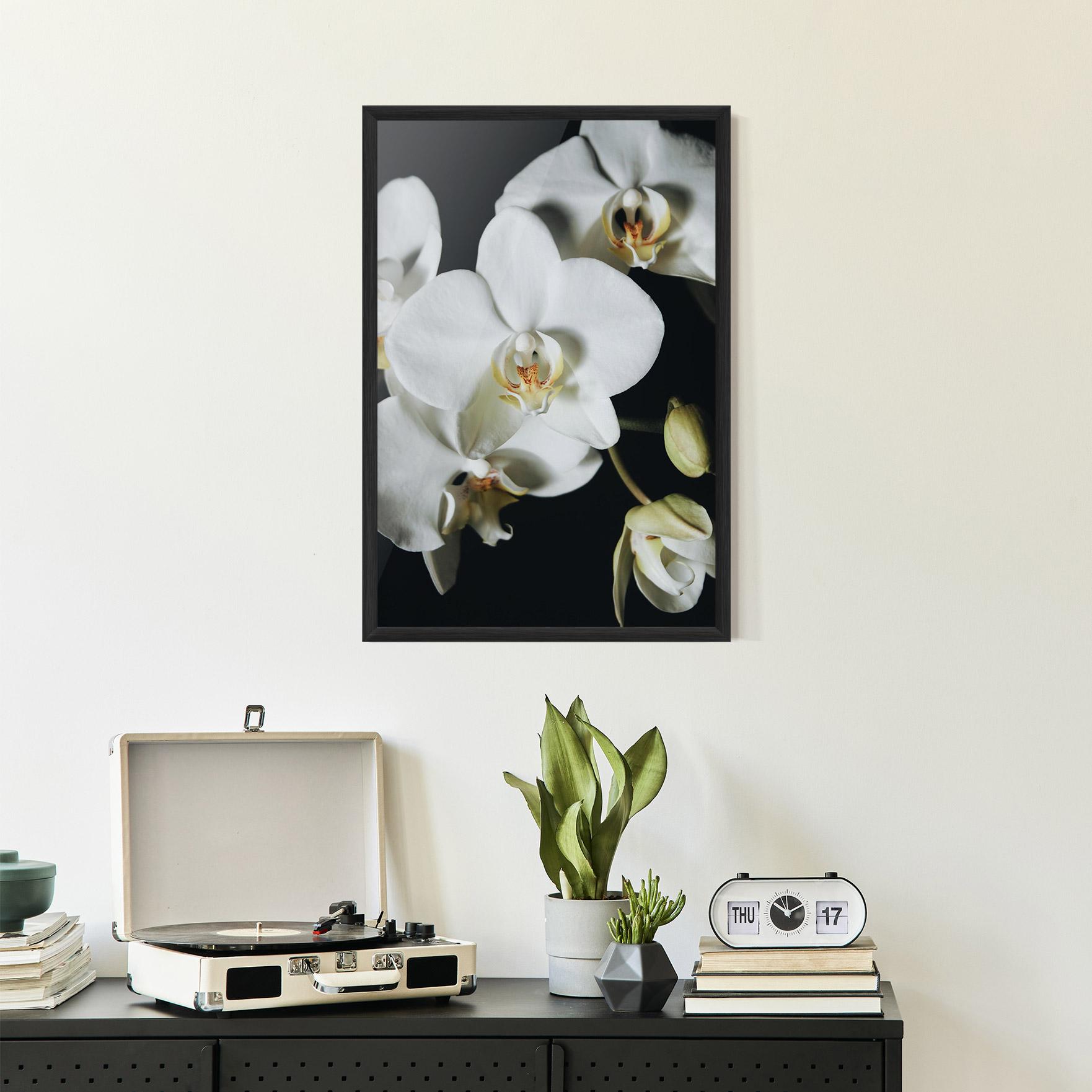 Рамкиран постер White Orchid On Black mockup 2