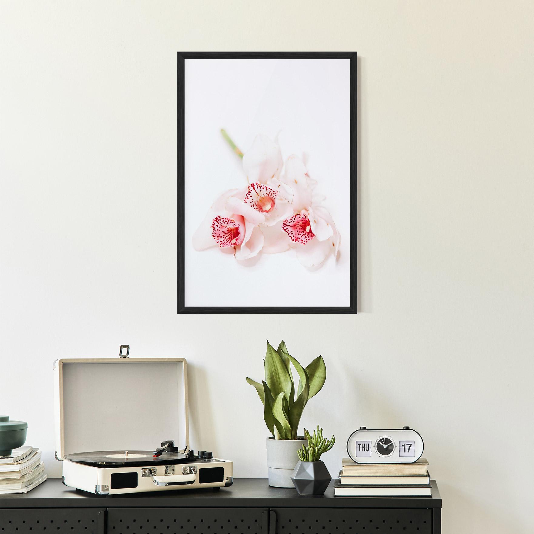 Рамкиран постер White Orchid With Pink mockup 2