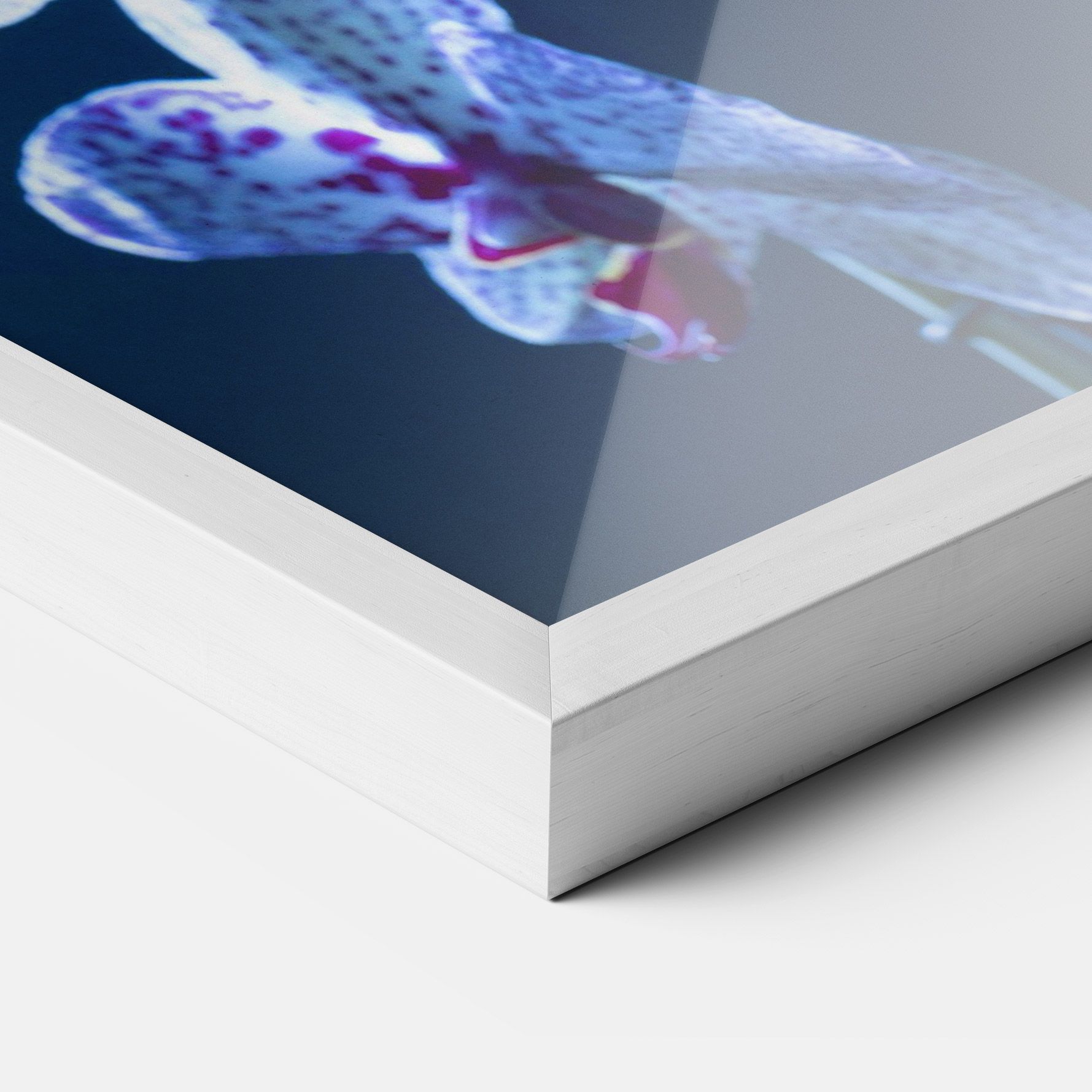 Blue Light Orchid mockup 3