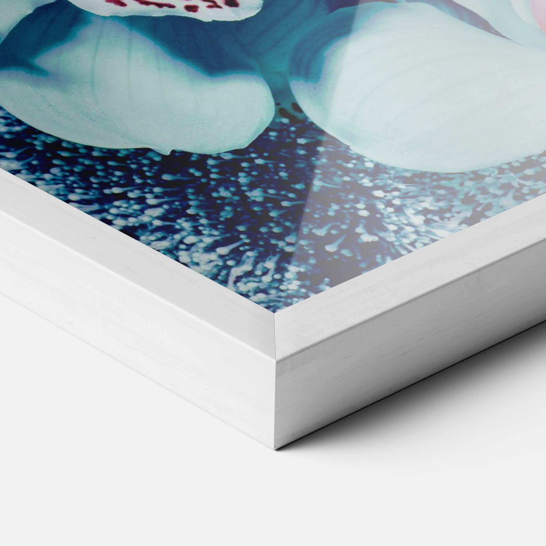 Light Blue Orchids mockup 3