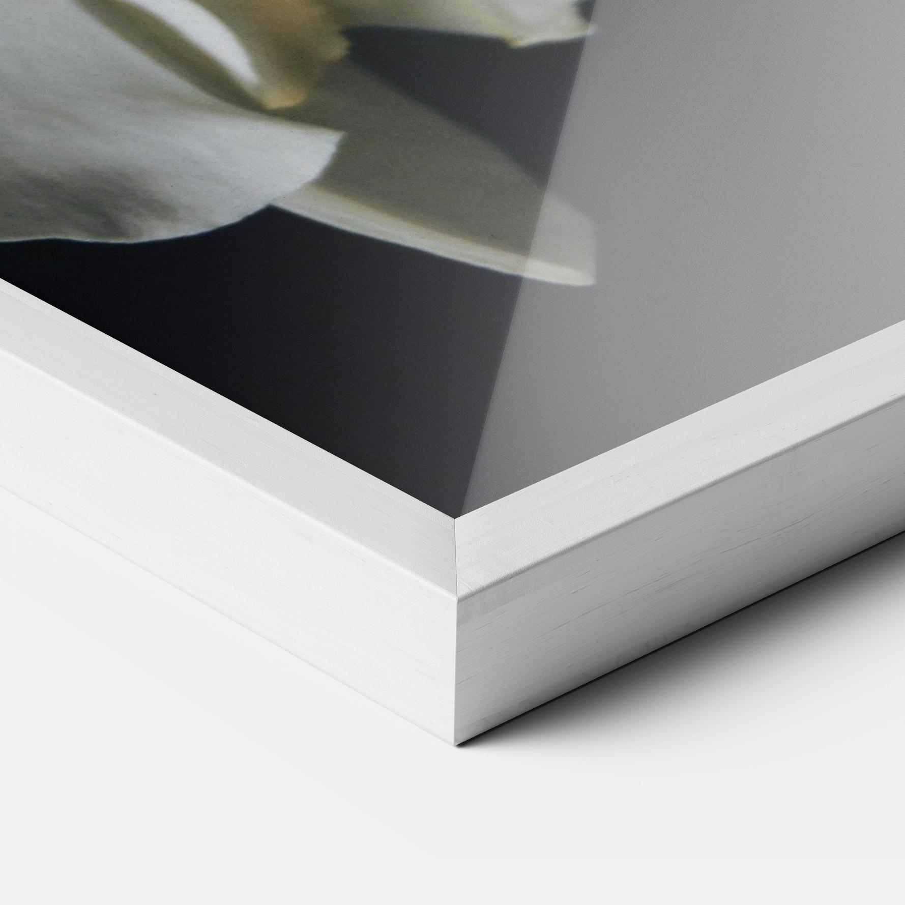 Рамкиран постер White Orchid On Black mockup 3