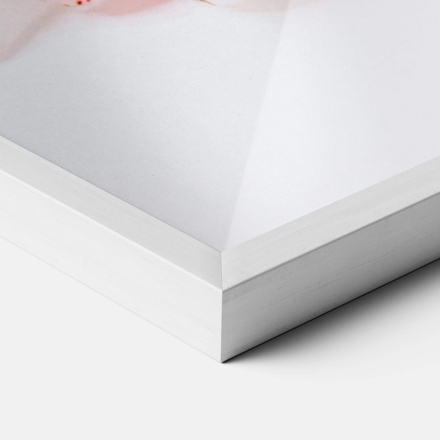 White Orchid With Pink mockup 3