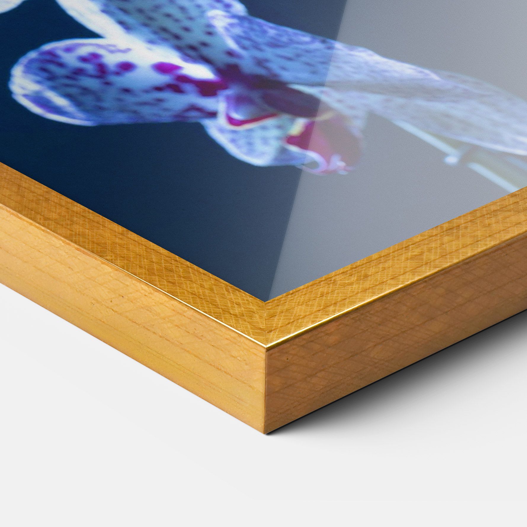 Blue Light Orchid mockup 3