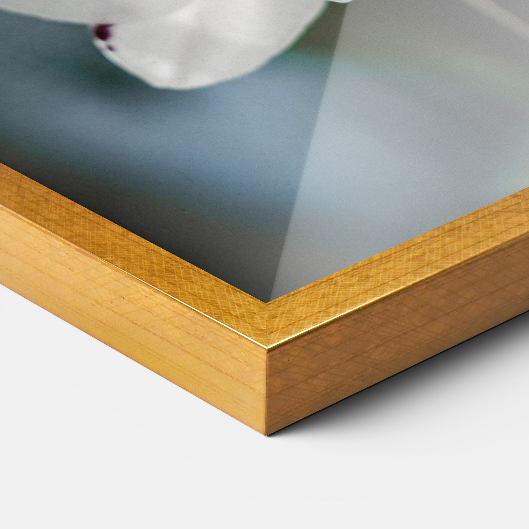 Dark Purple Orchid mockup 3