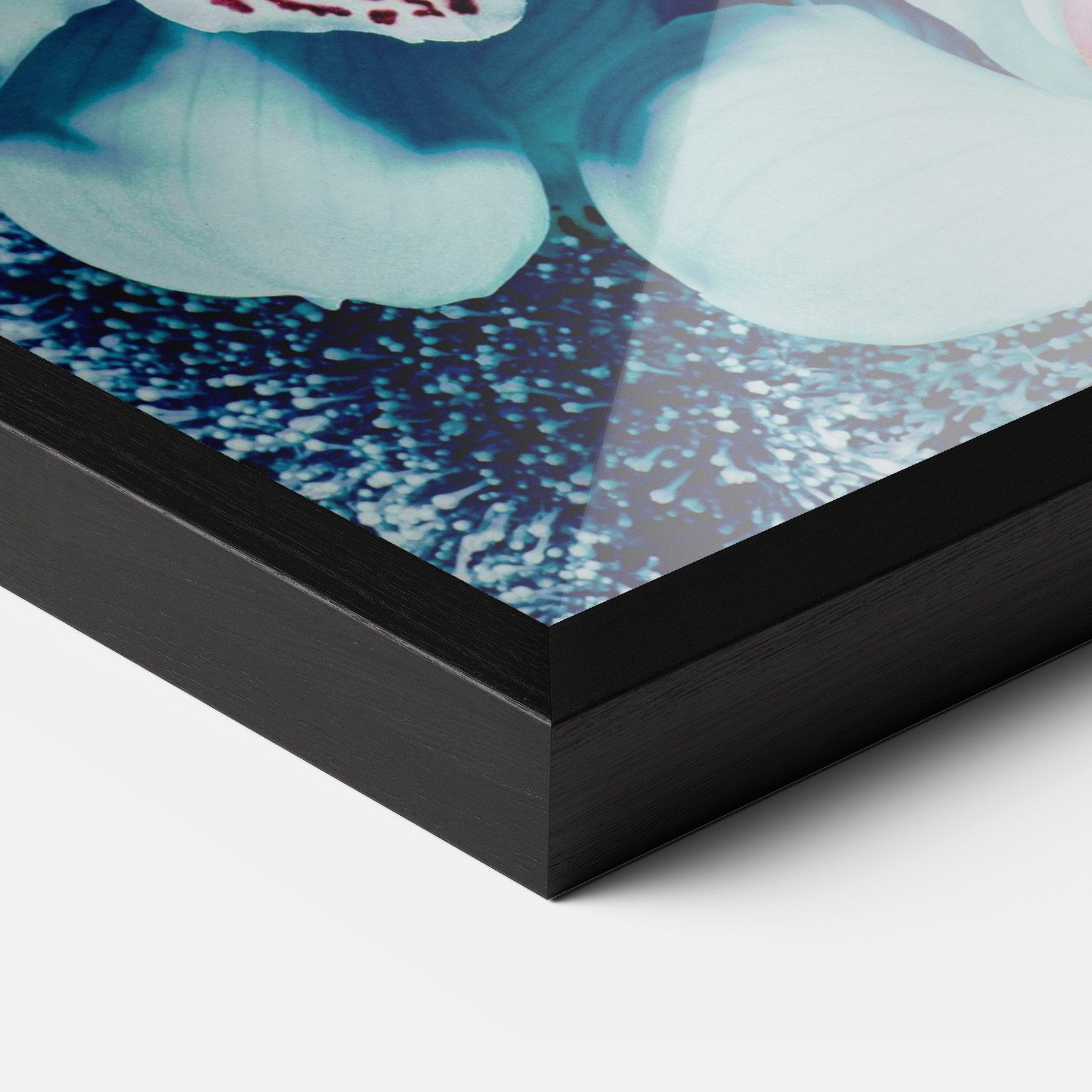 Light Blue Orchids mockup 3