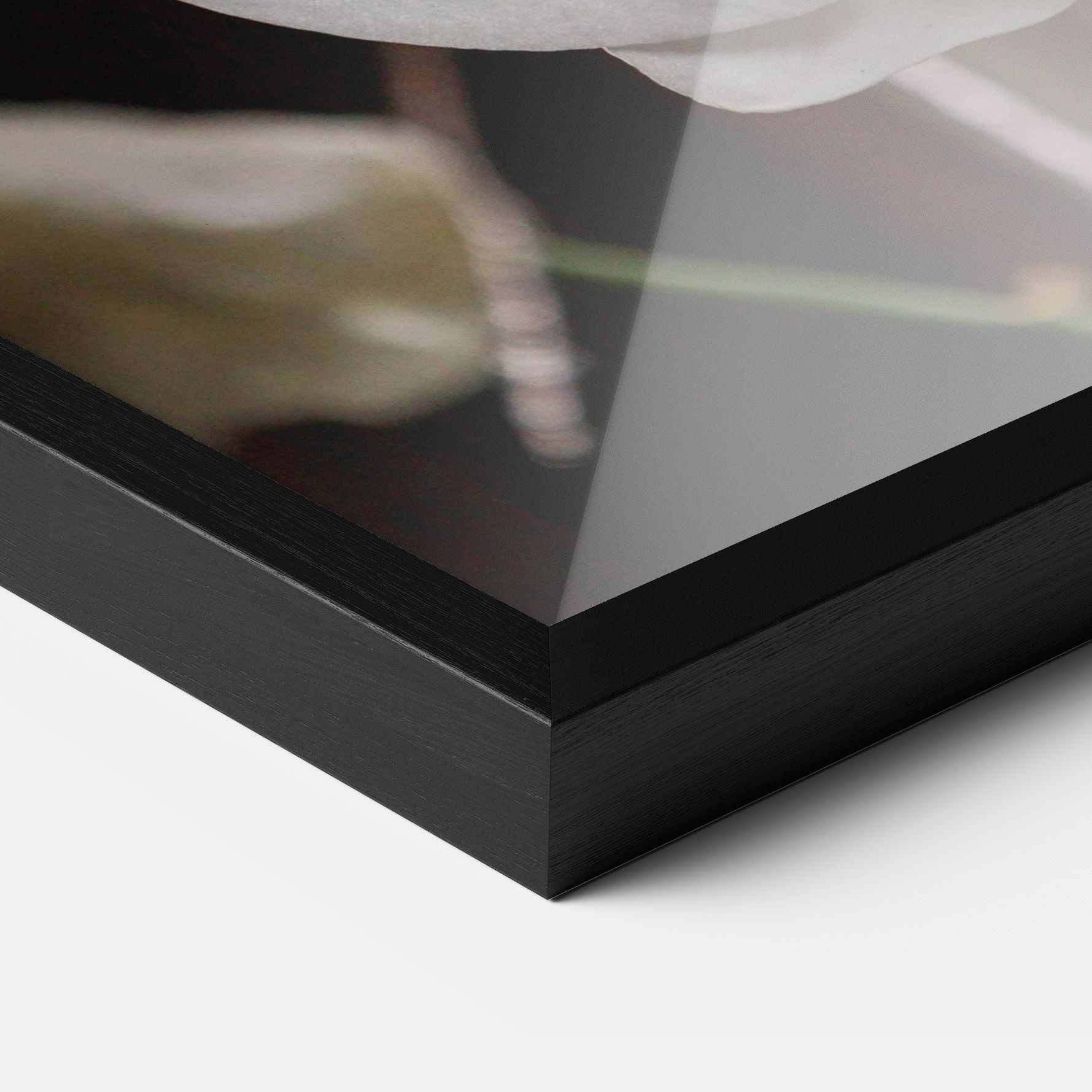 White Orchid Growing mockup 3