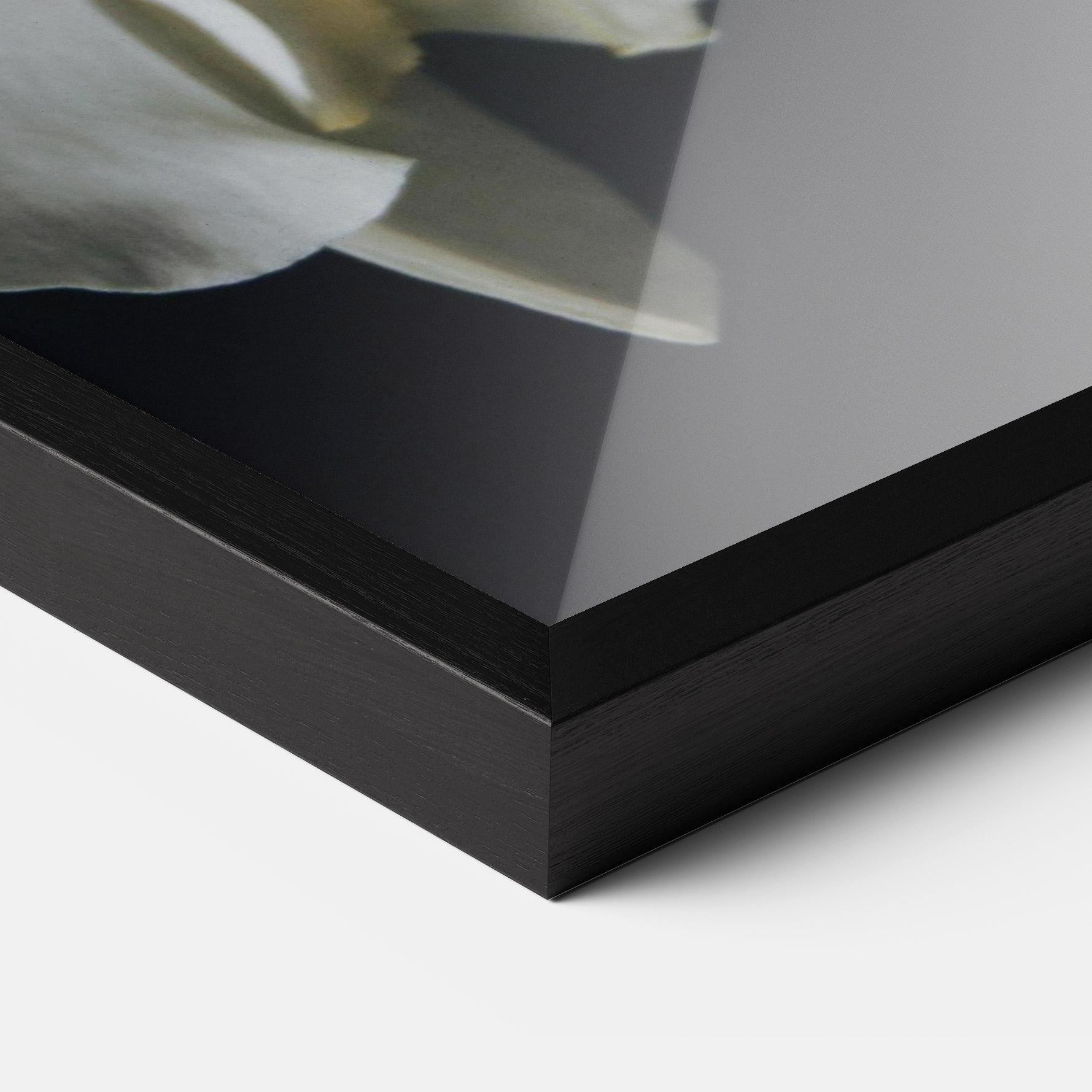 Рамкиран постер White Orchid On Black mockup 3