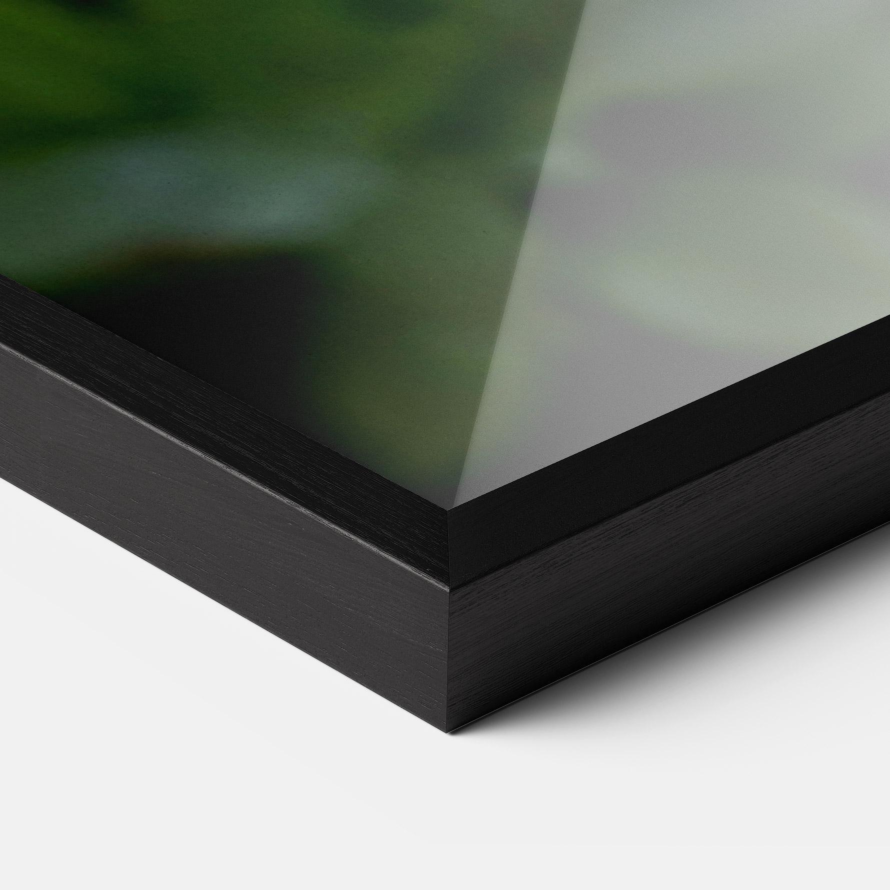 Рамкиран постер White Orchids mockup 3