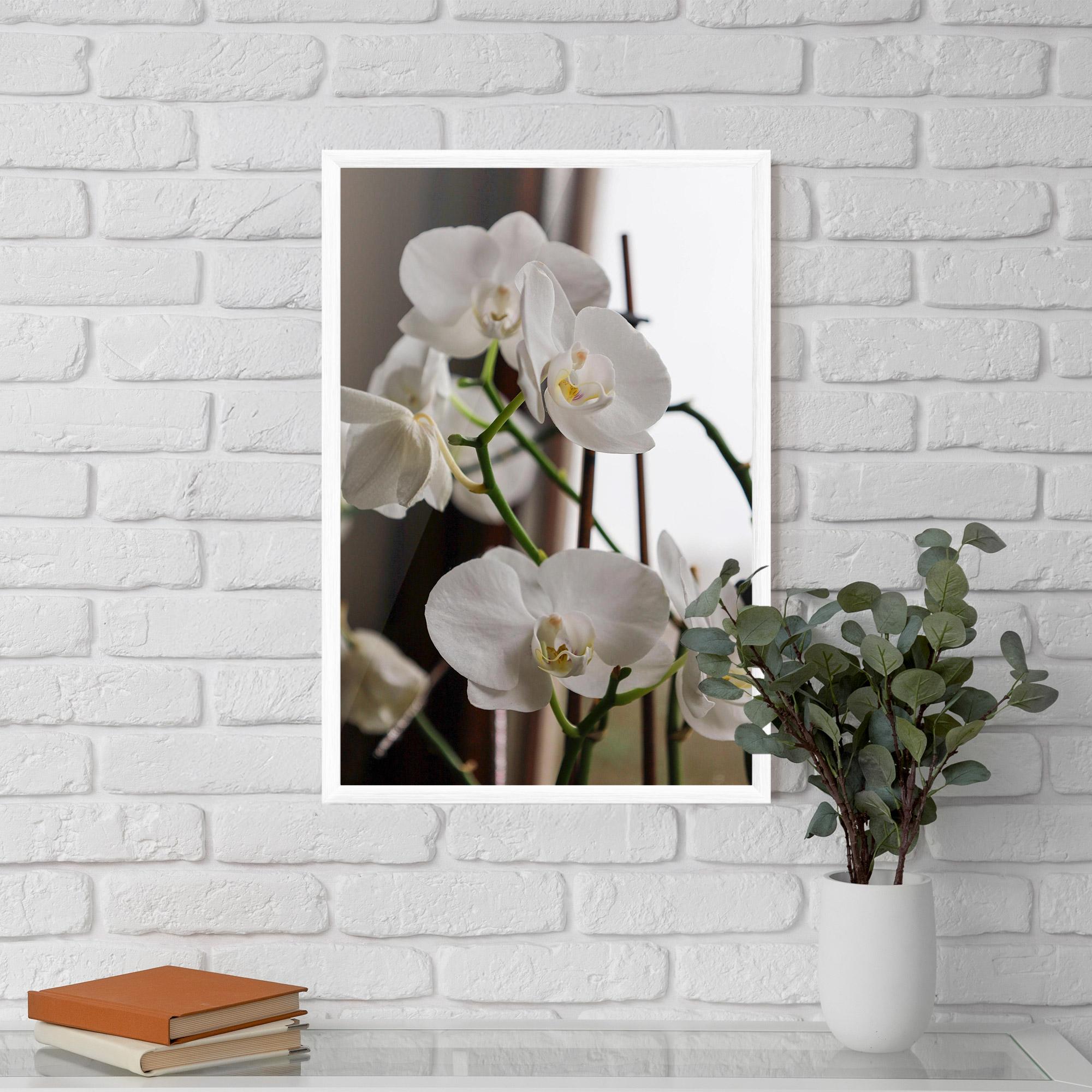 Рамкиран постер White Orchid Growing mockup 5