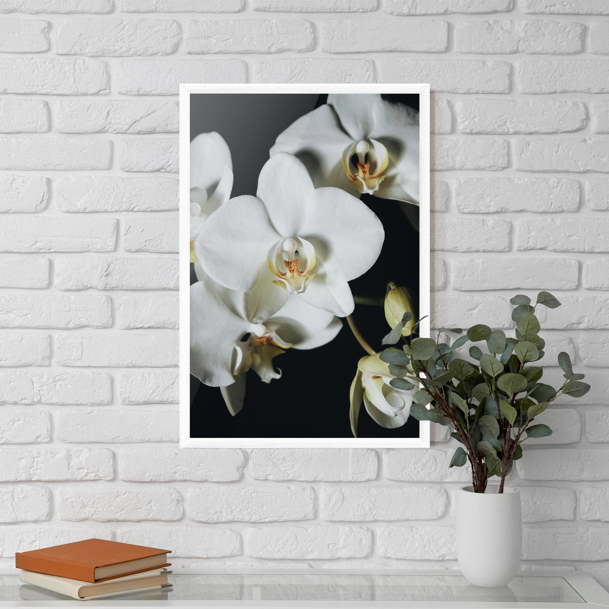 Рамкиран постер White Orchid On Black mockup 5