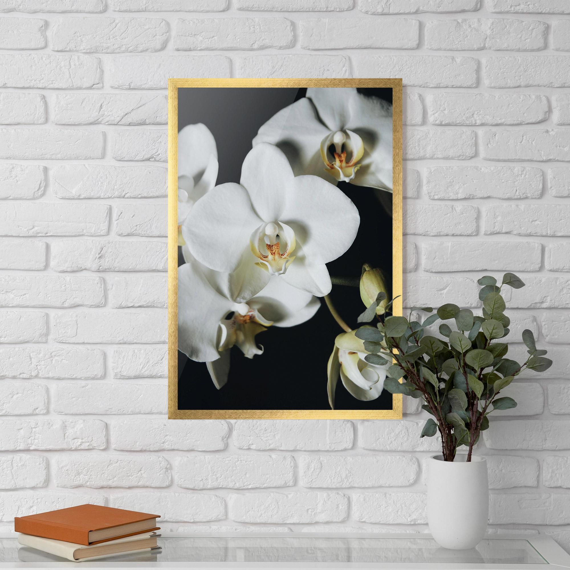 Рамкиран постер White Orchid On Black mockup 5