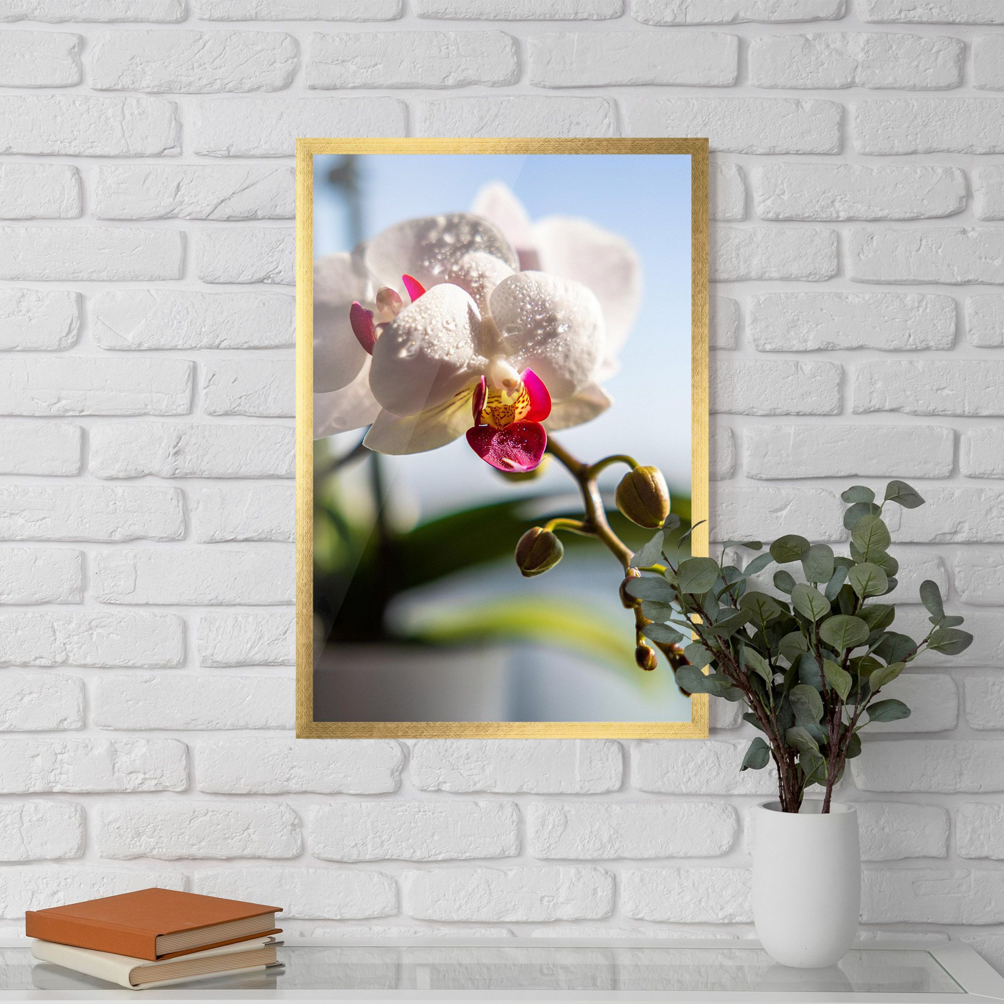 White Orchid With Water mockup 5