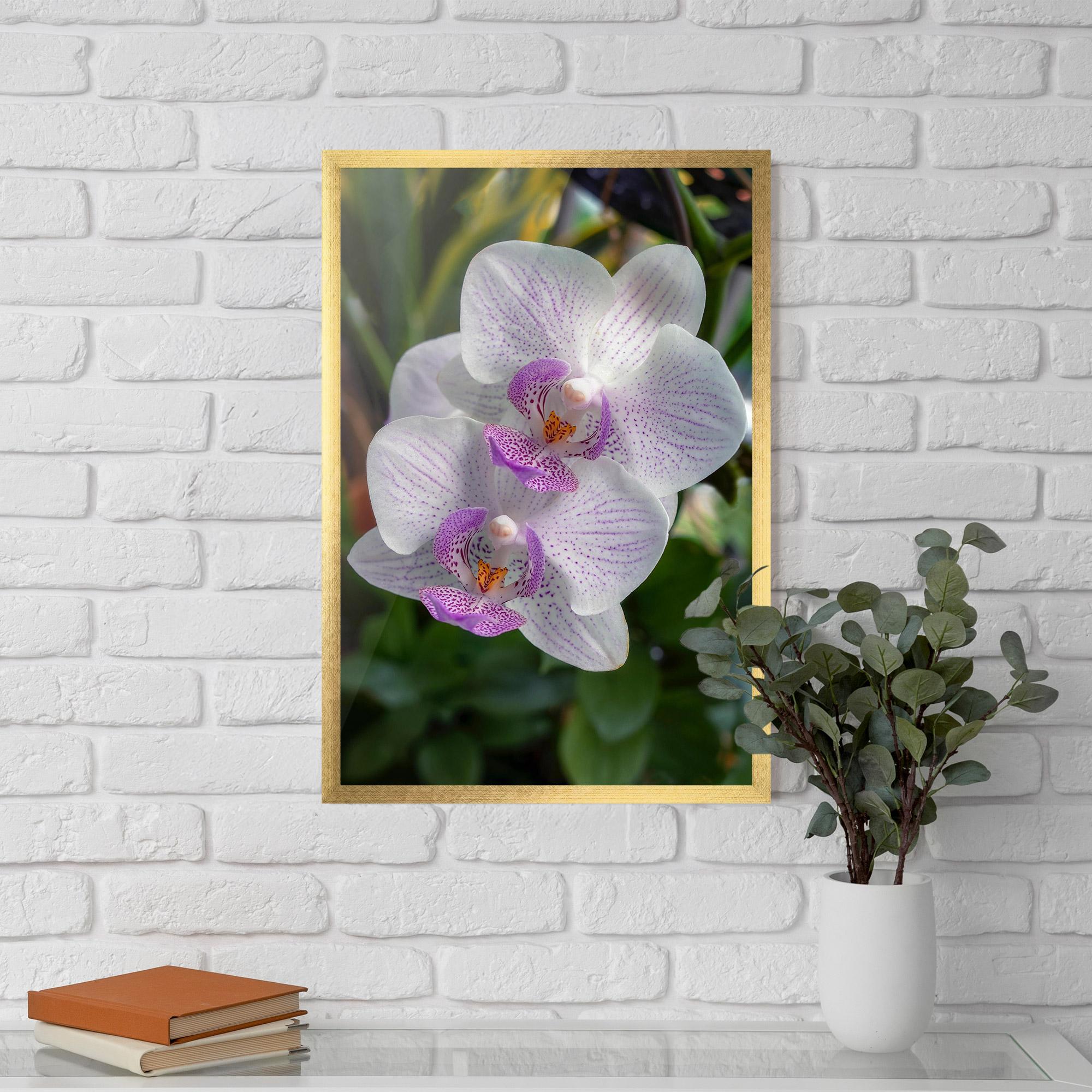 Рамкиран постер White Orchids mockup 5