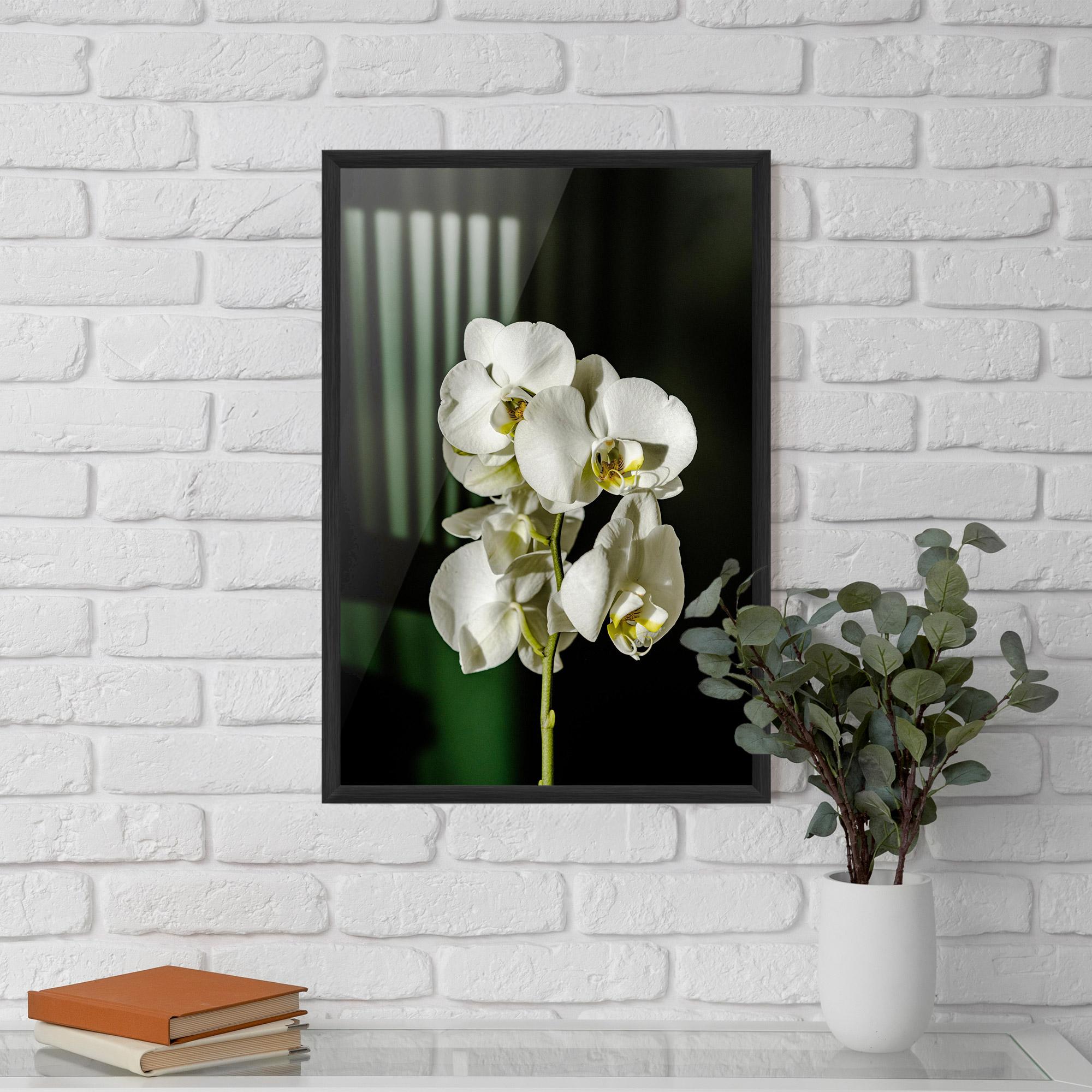 Рамкиран постер Orchid On Green mockup 5