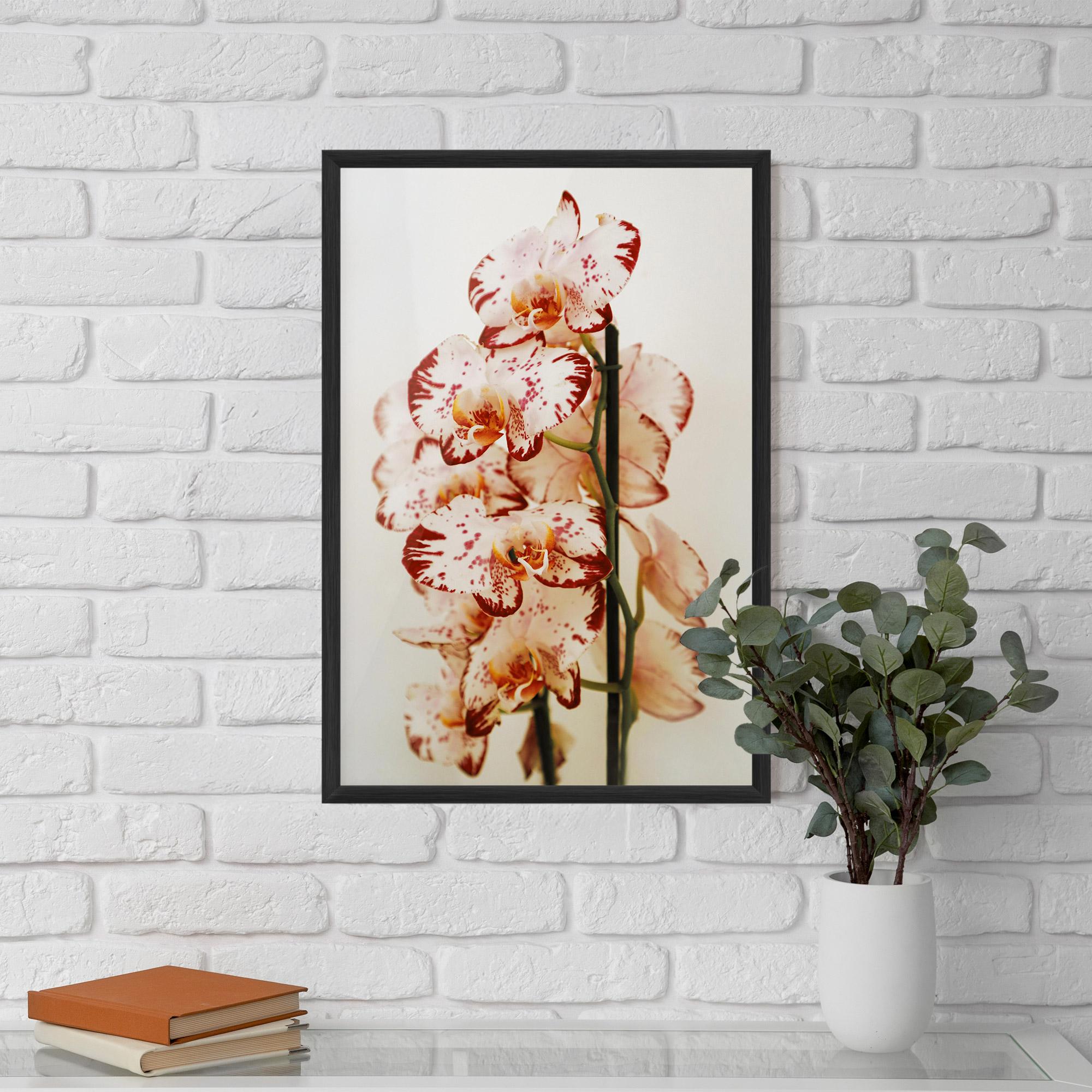 Рамкиран постер Red White Orchids mockup 5