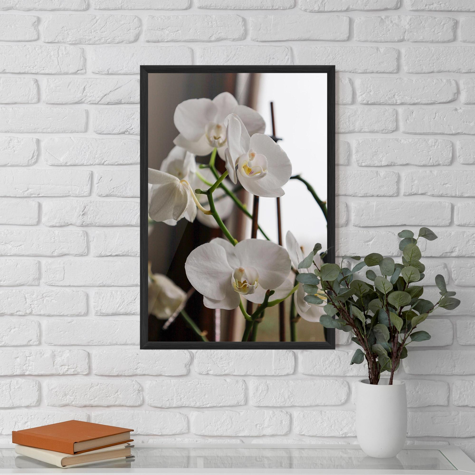Рамкиран постер White Orchid Growing mockup 5