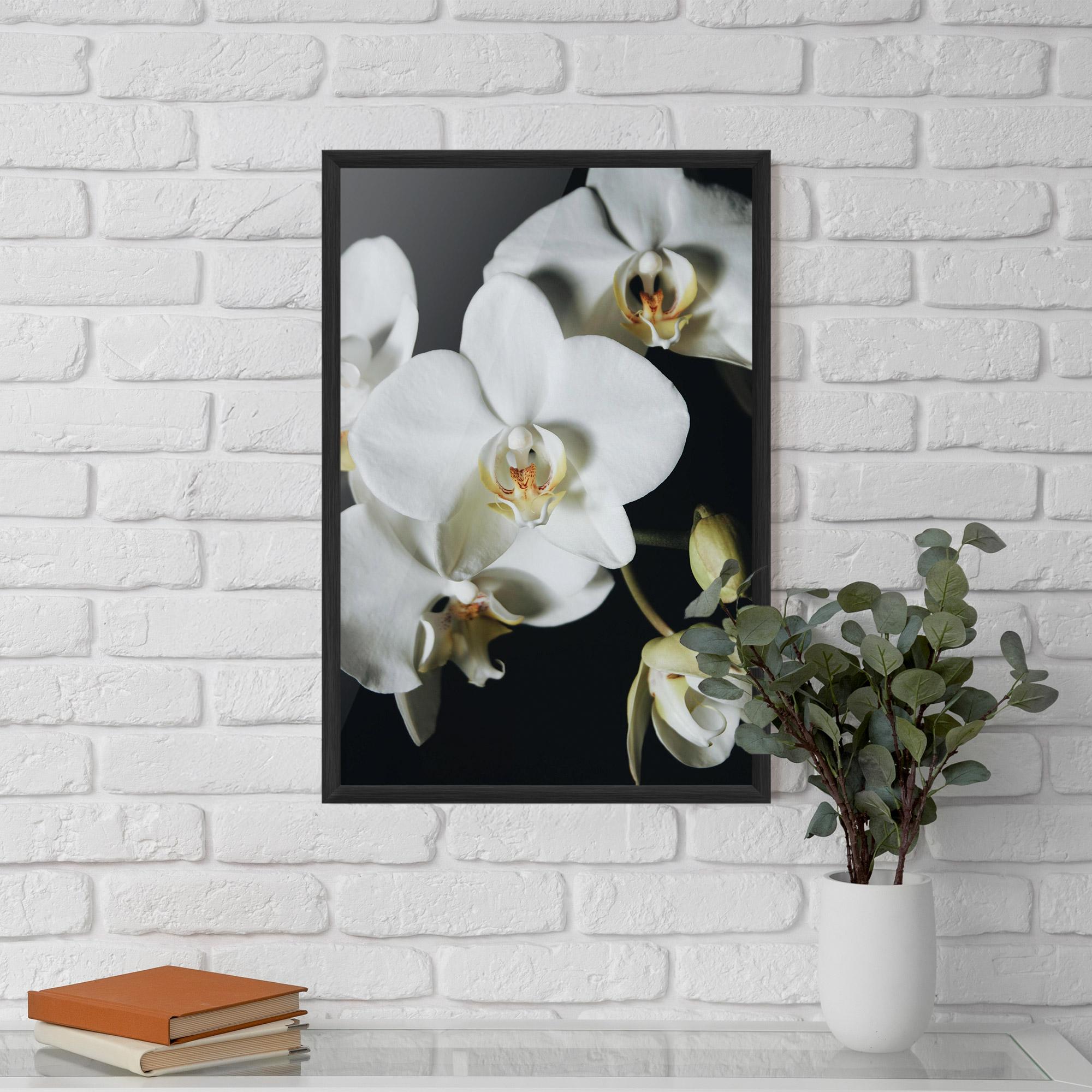 Рамкиран постер White Orchid On Black mockup 5