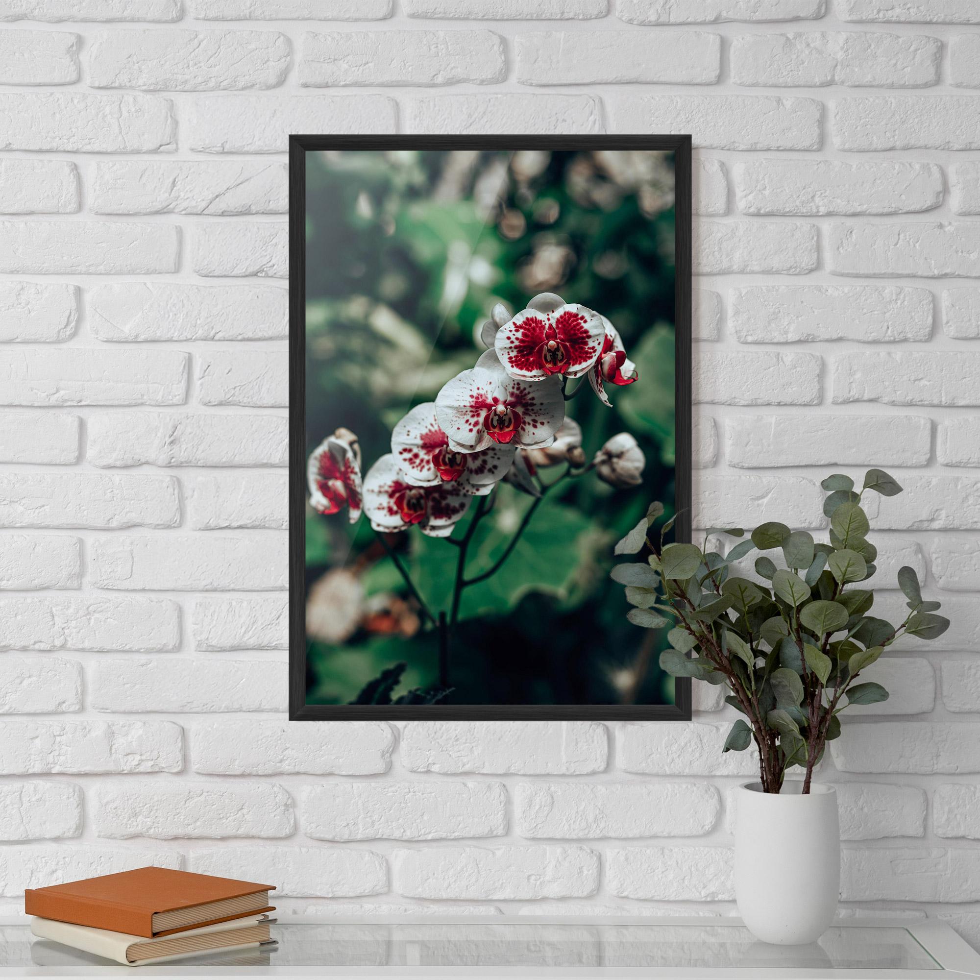 Рамкиран постер White Red Orchid mockup 5
