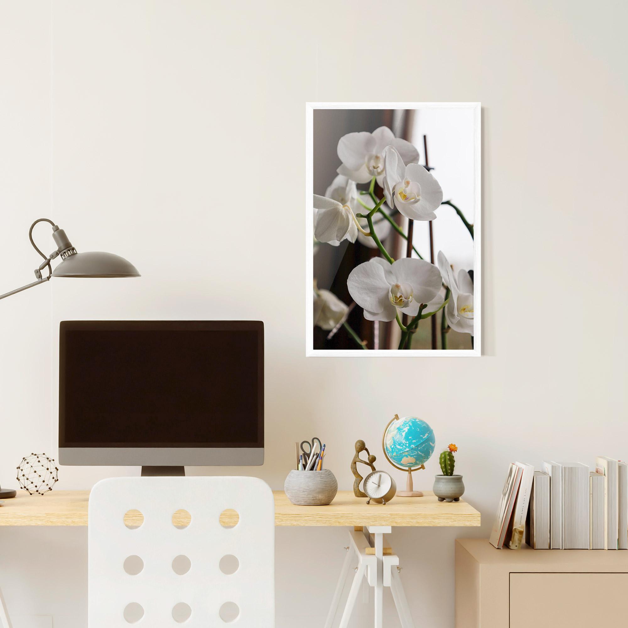 Рамкиран постер White Orchid Growing mockup 6