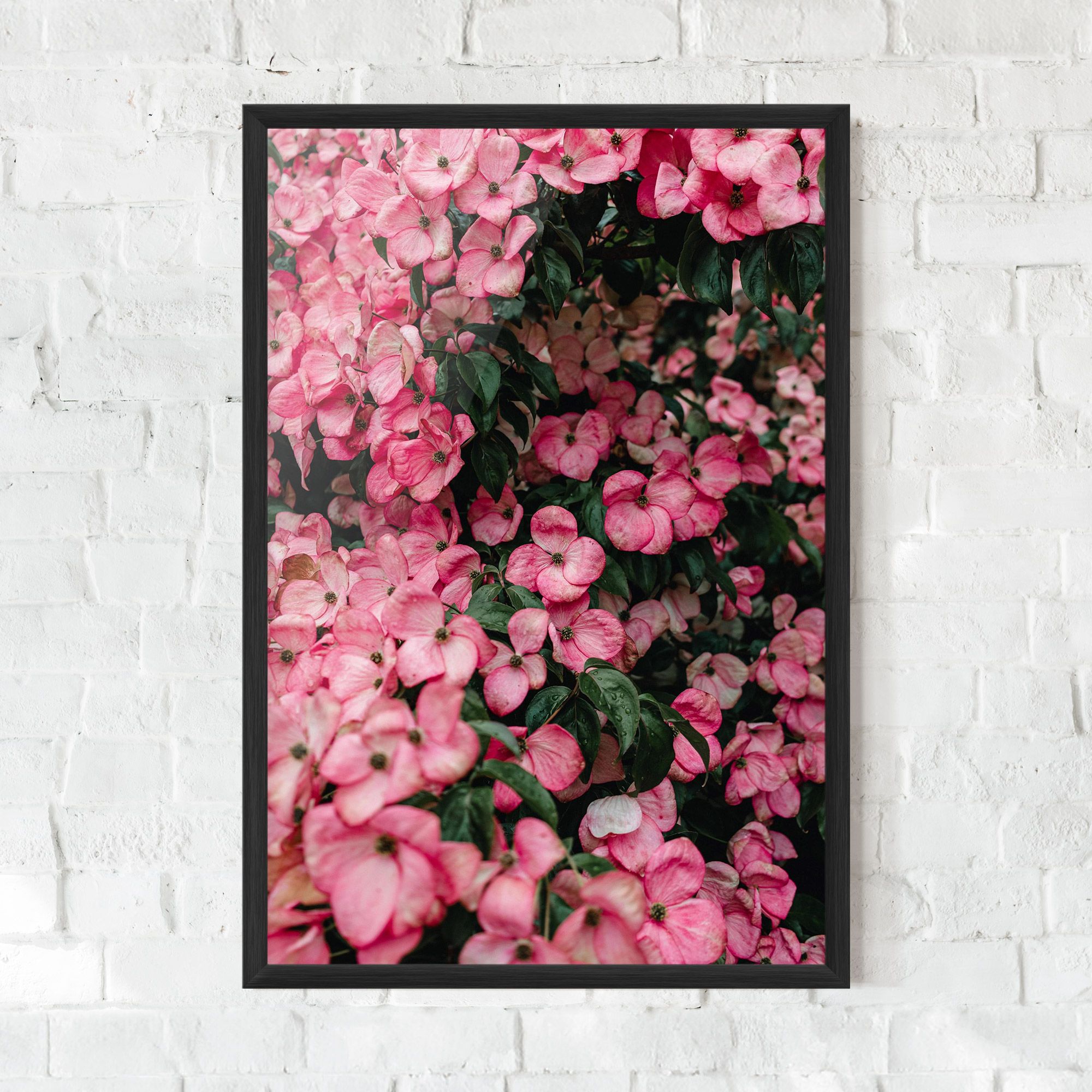 Pink Rose Flower Tree mockup 0