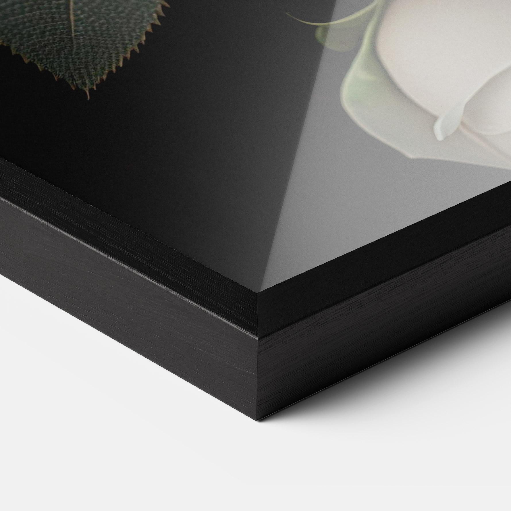 Рамкиран постер Cream Roses Close Up mockup 3