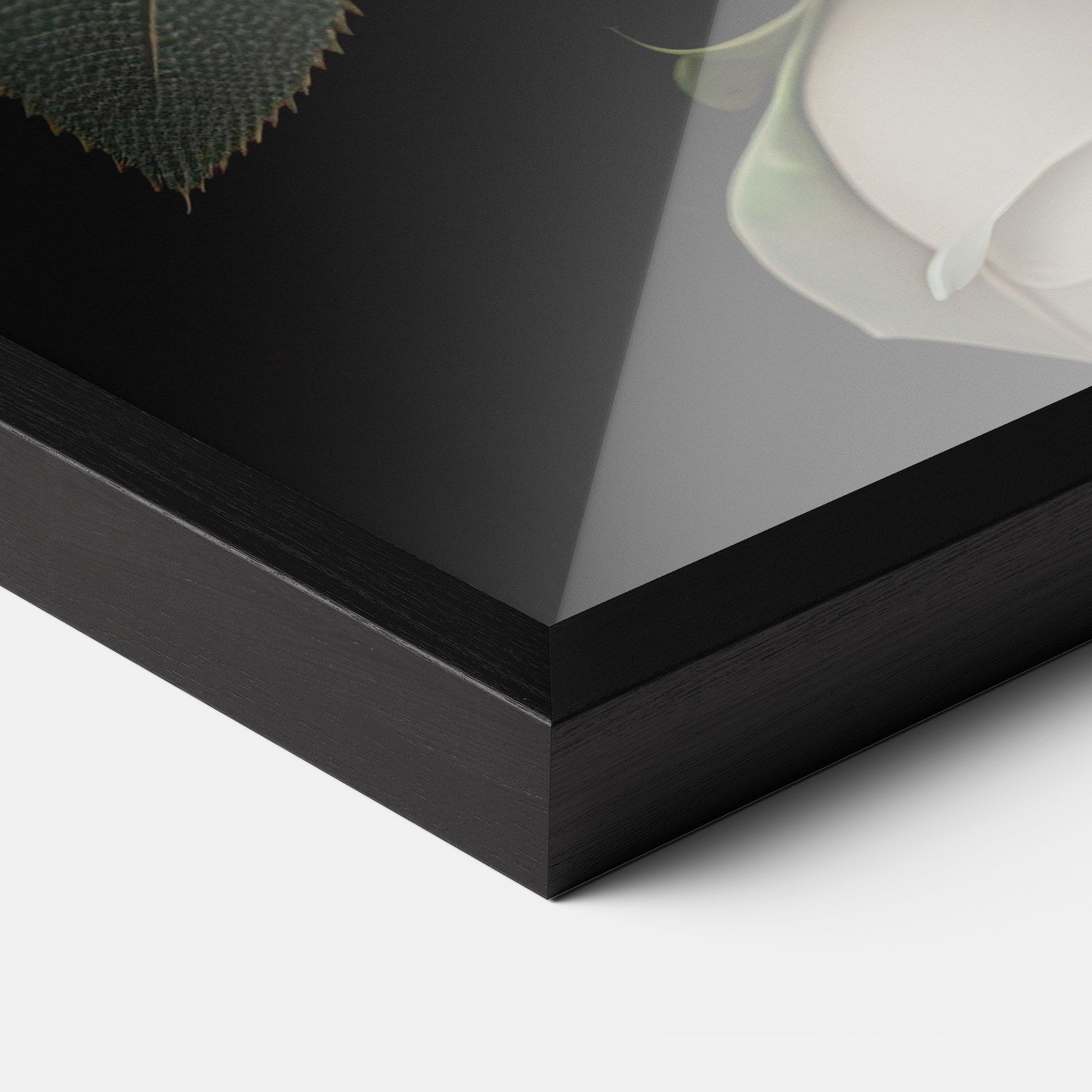 Cream Roses Close Up mockup 3