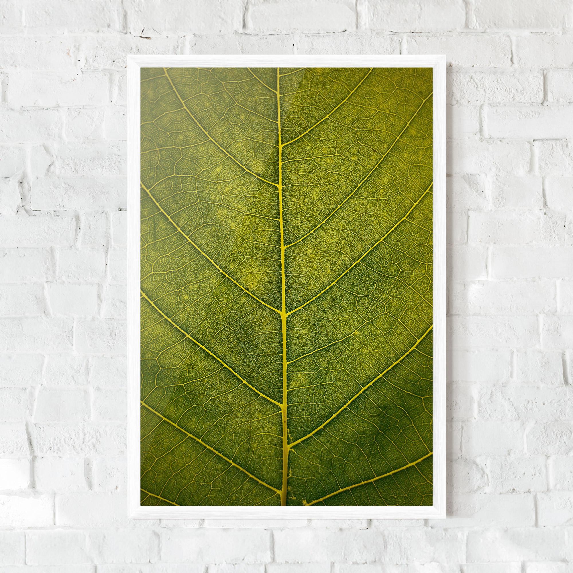 Рамкиран постер Leaf Closeup Forest mockup 0