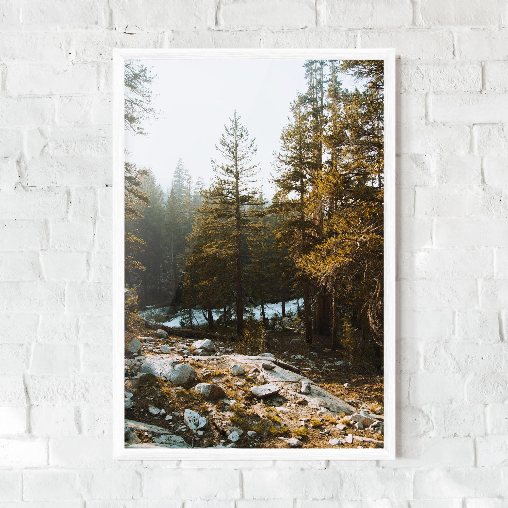 Рамкиран постер Rock Forest View mockup 0