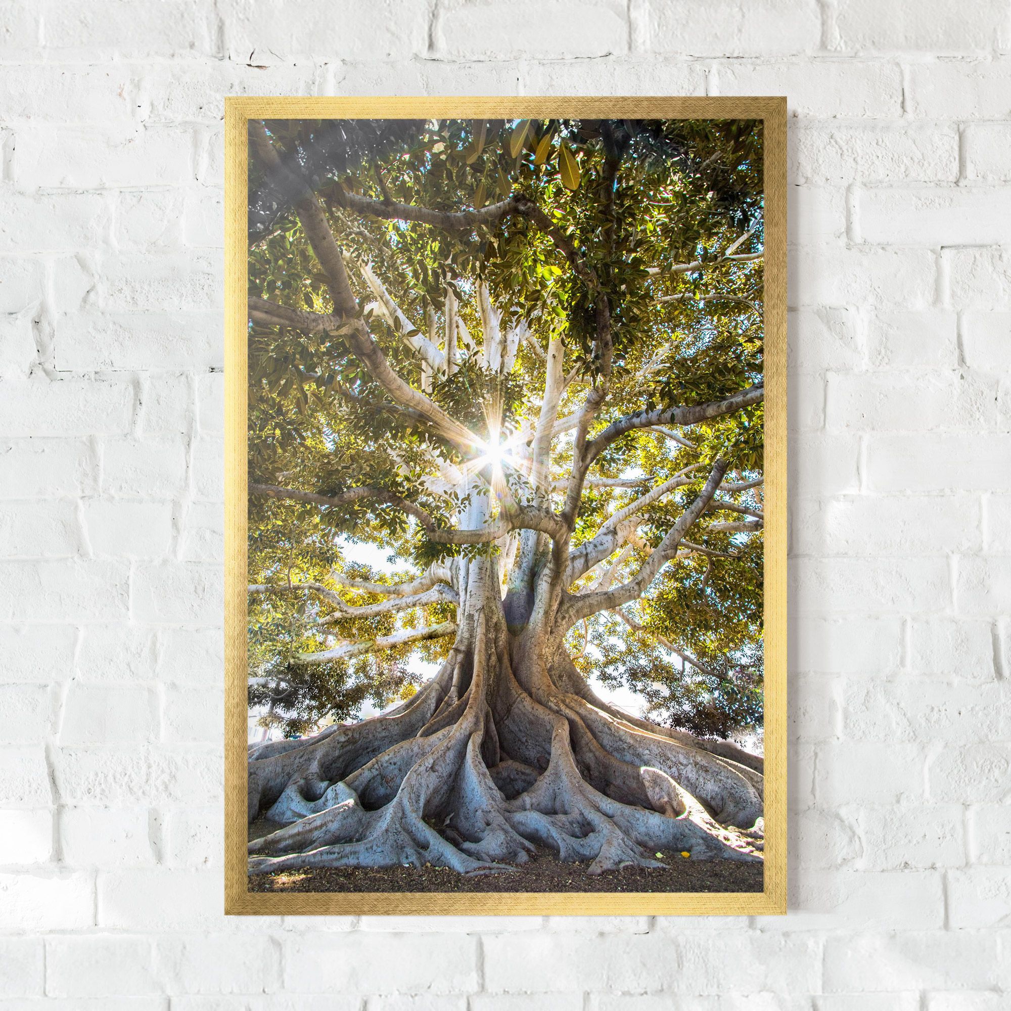 Big Old Tree mockup 0