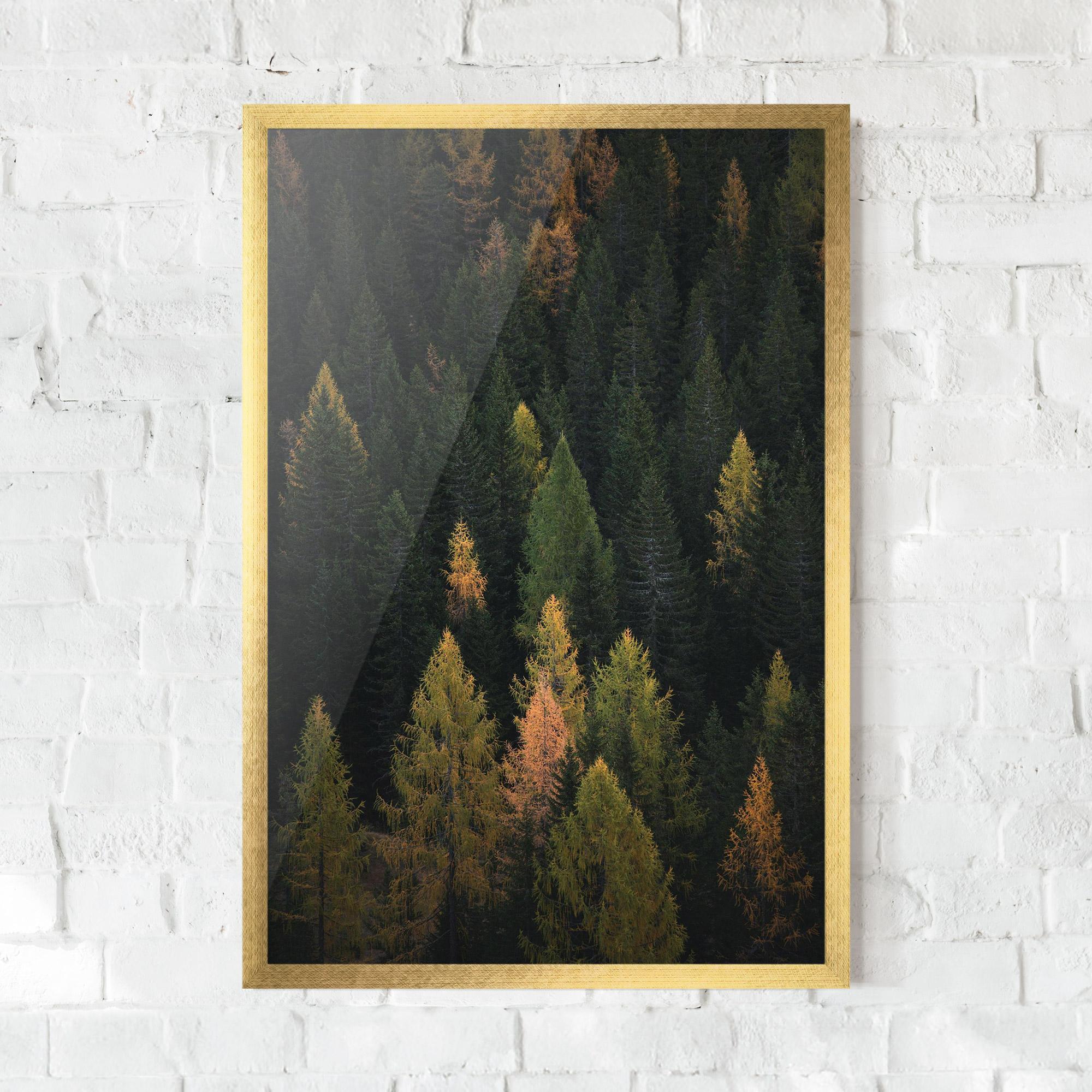 Рамкиран постер Color Mix Tree mockup 0