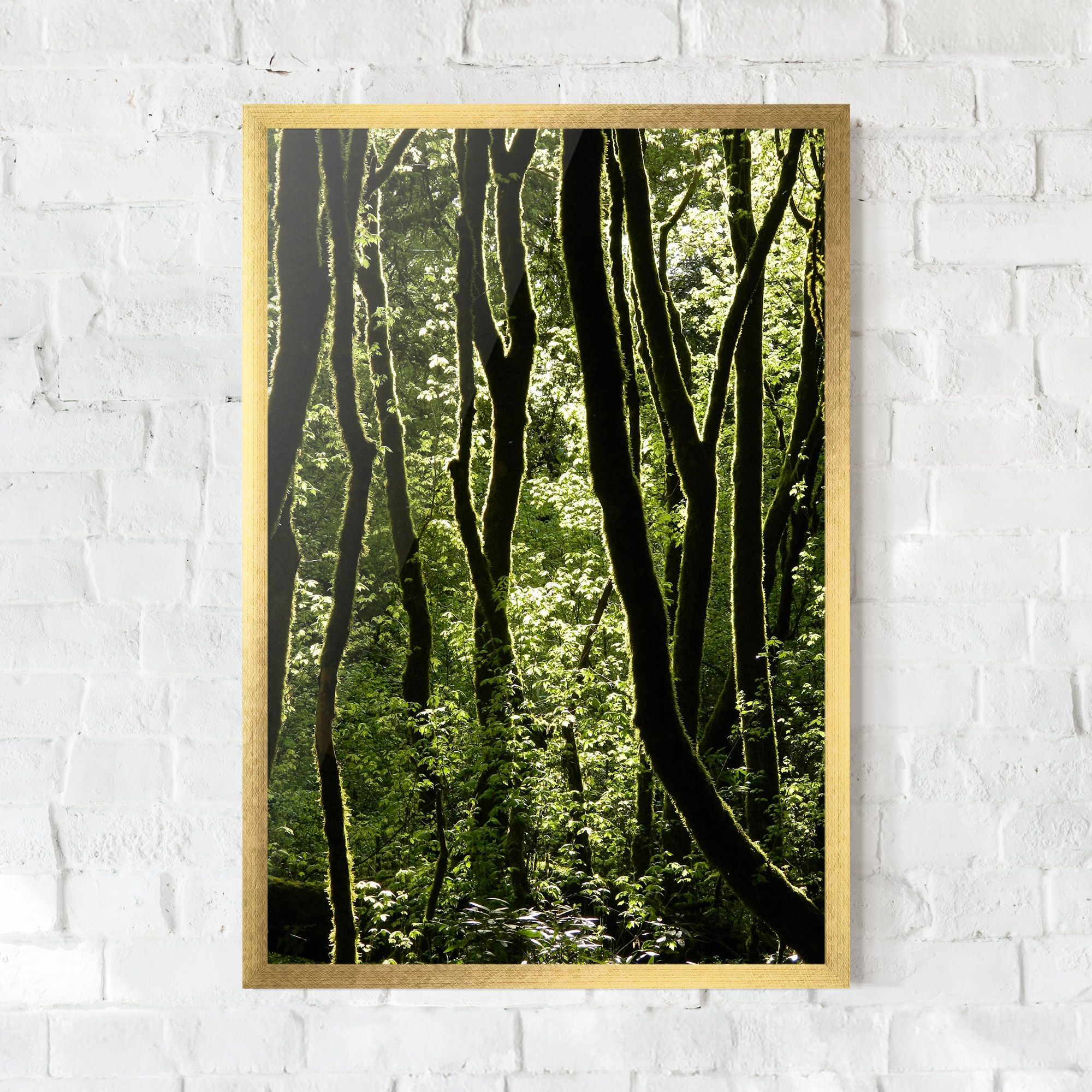 Forest Black Trees mockup 0