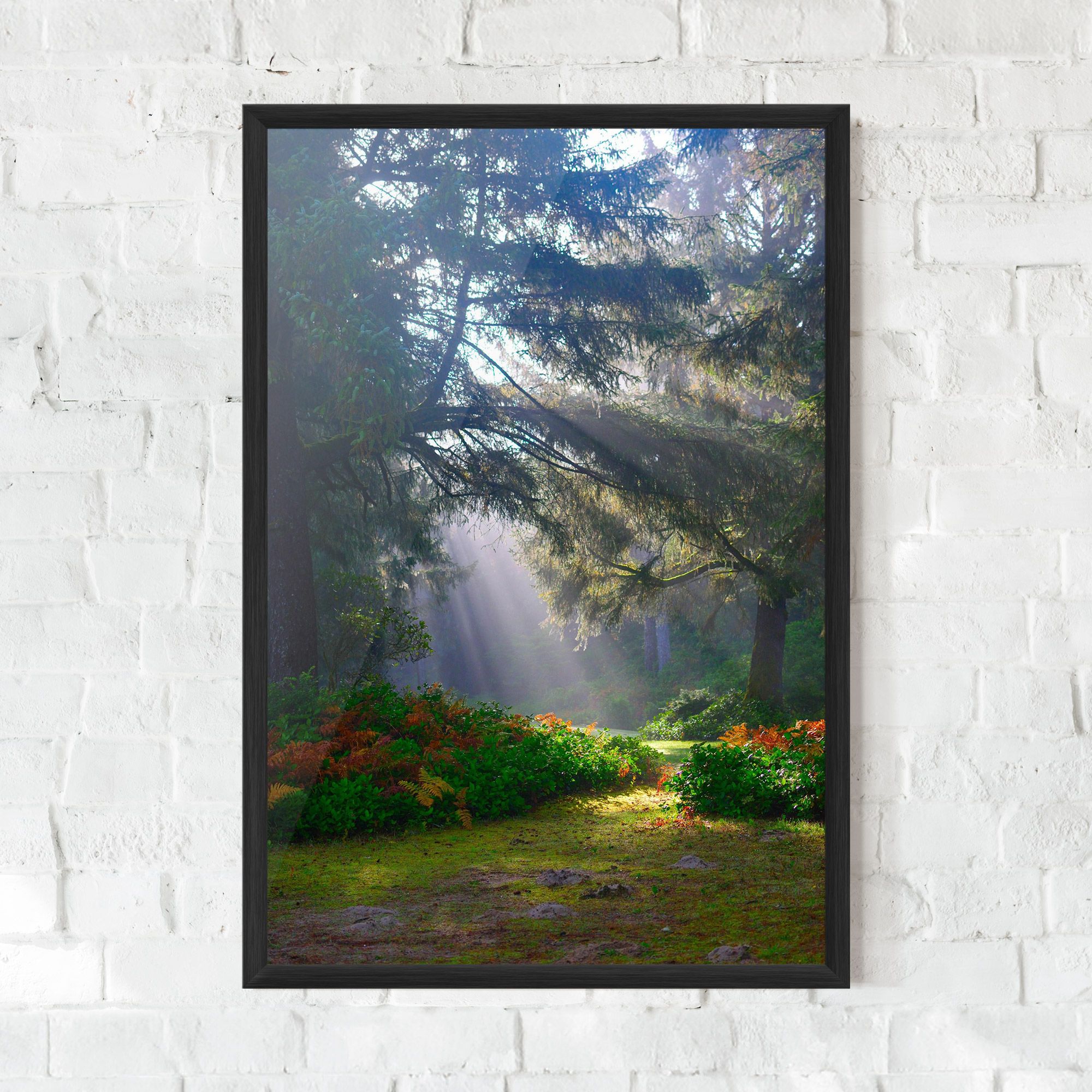 Forest Light mockup 0
