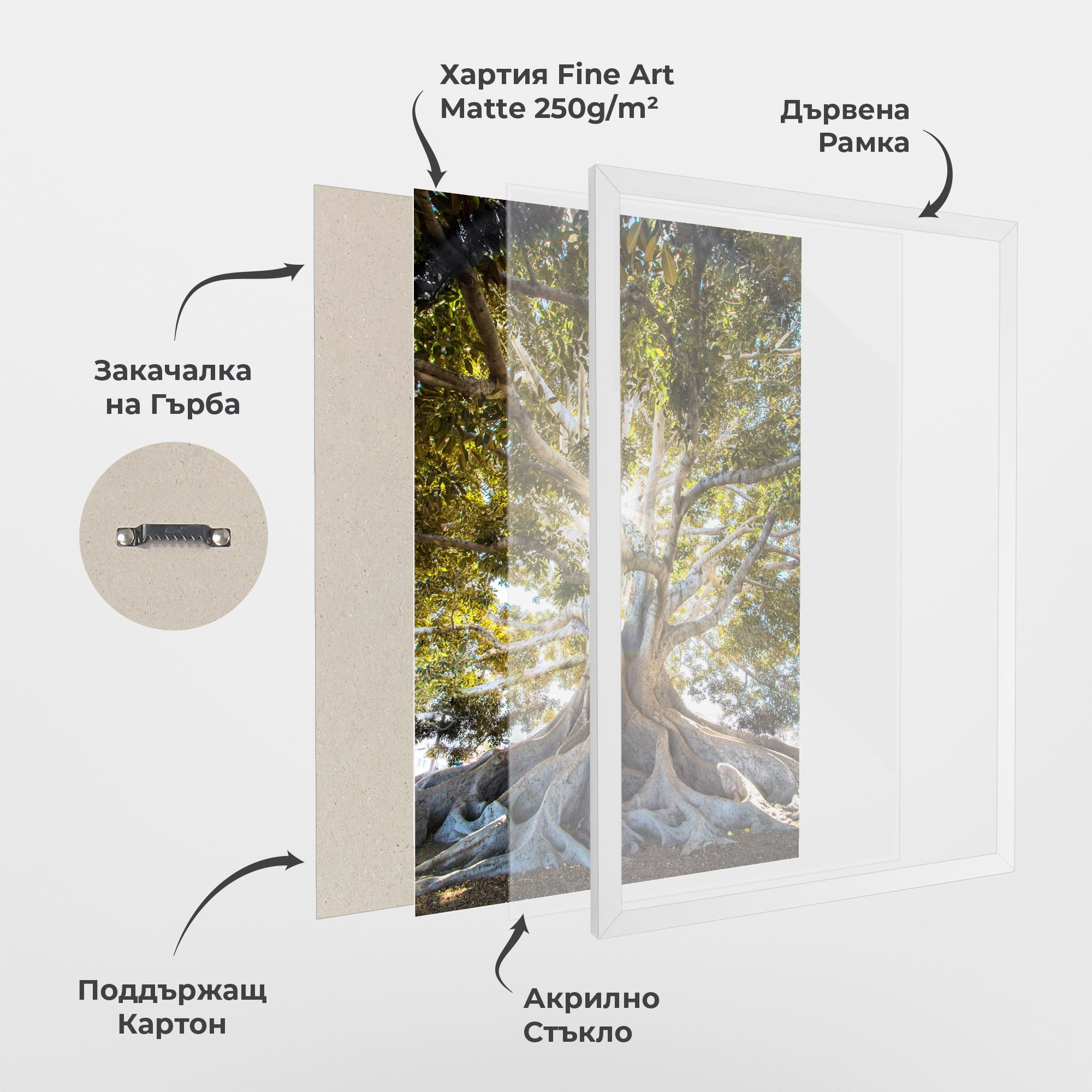 Big Old Tree mockup 1