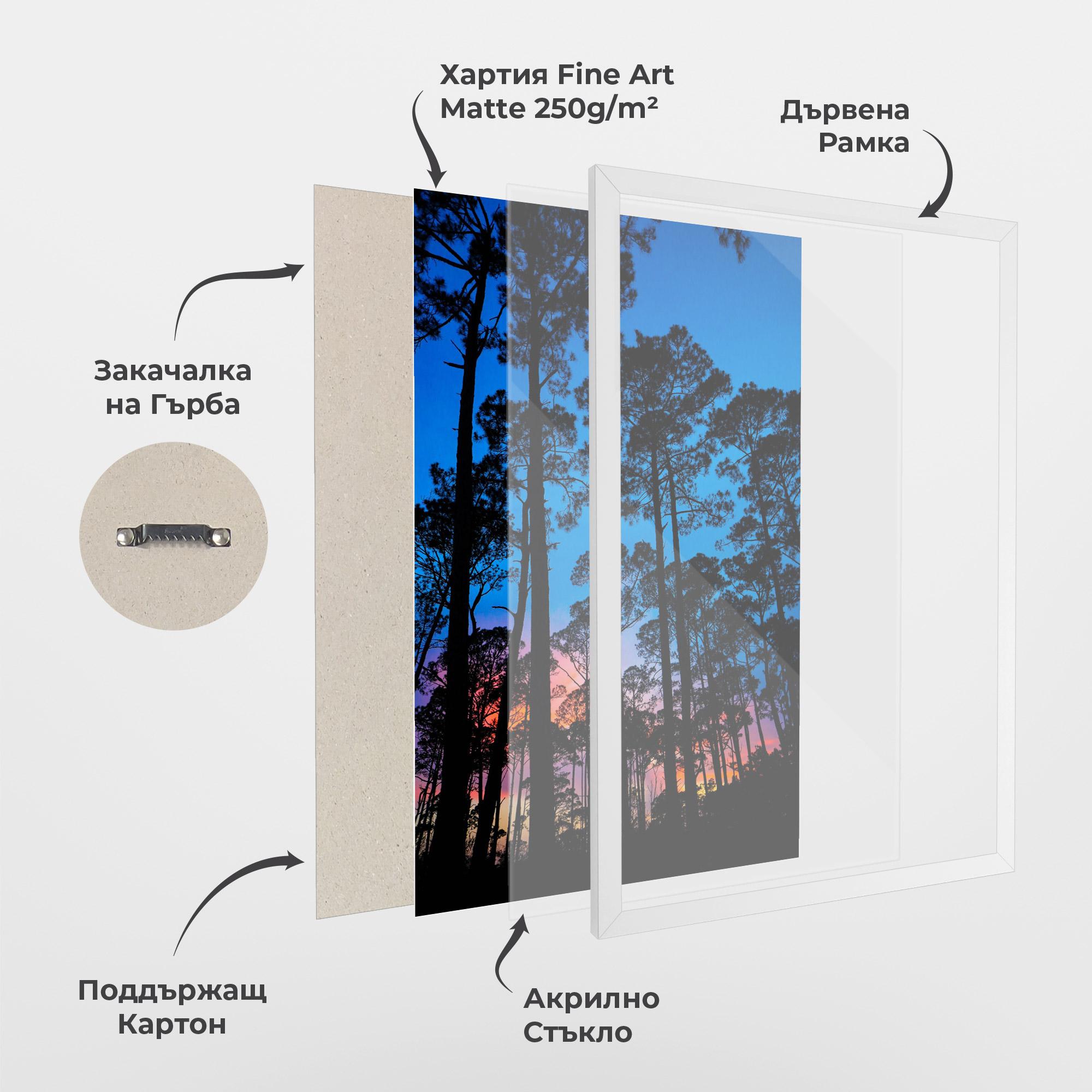 Рамкиран постер Blue Sky Forest mockup 1