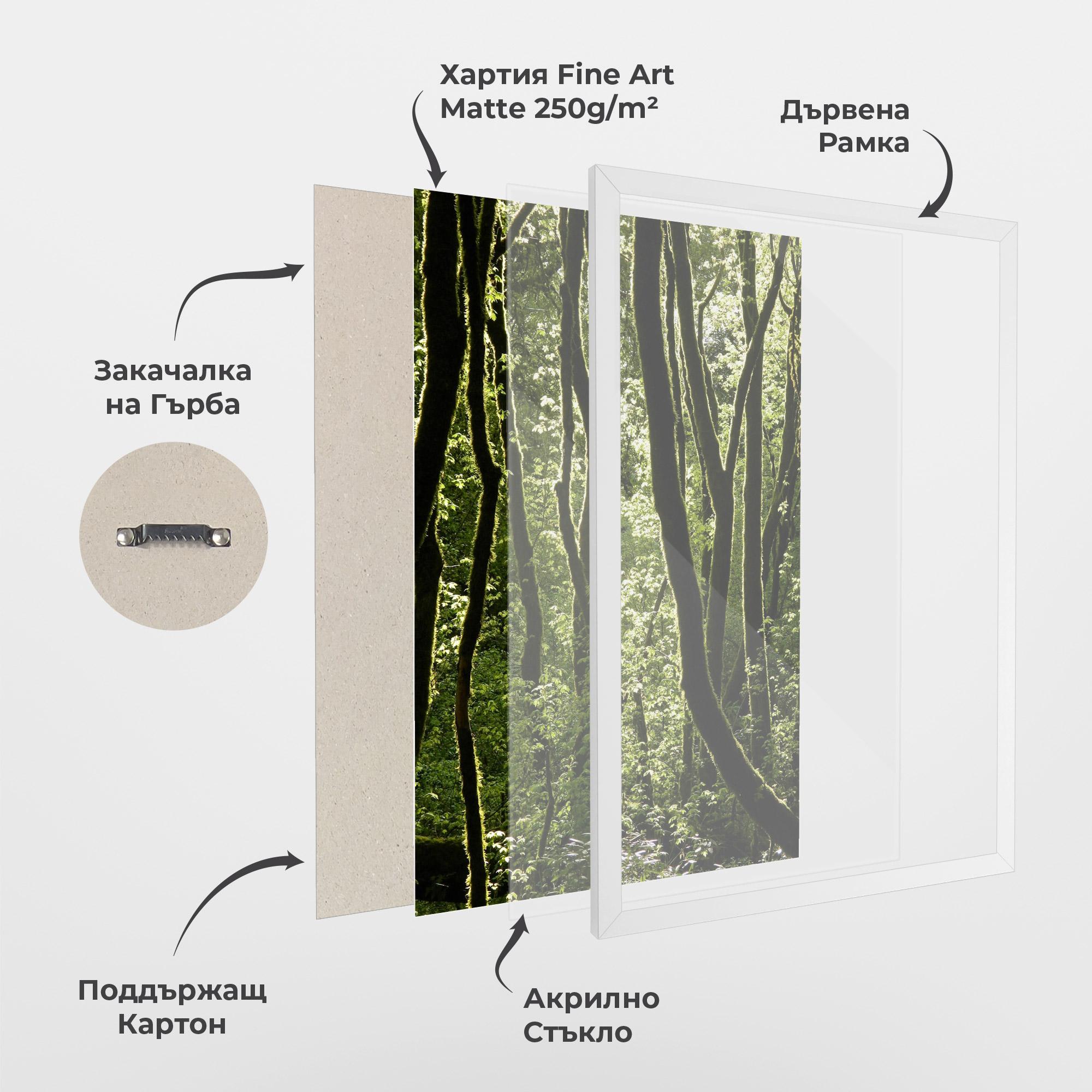 Рамкиран постер Forest Black Trees mockup 1