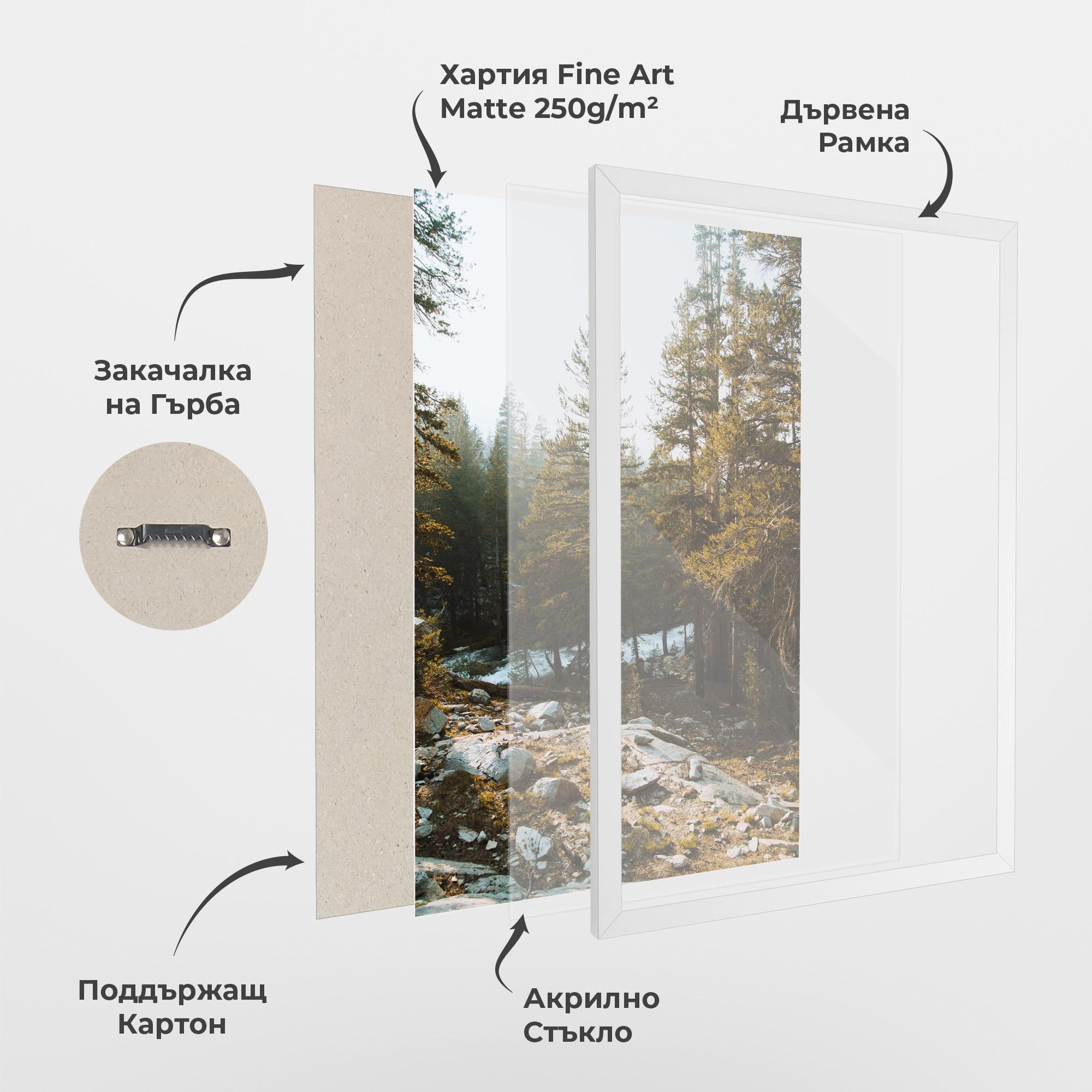 Рамкиран постер Rock Forest View mockup 1