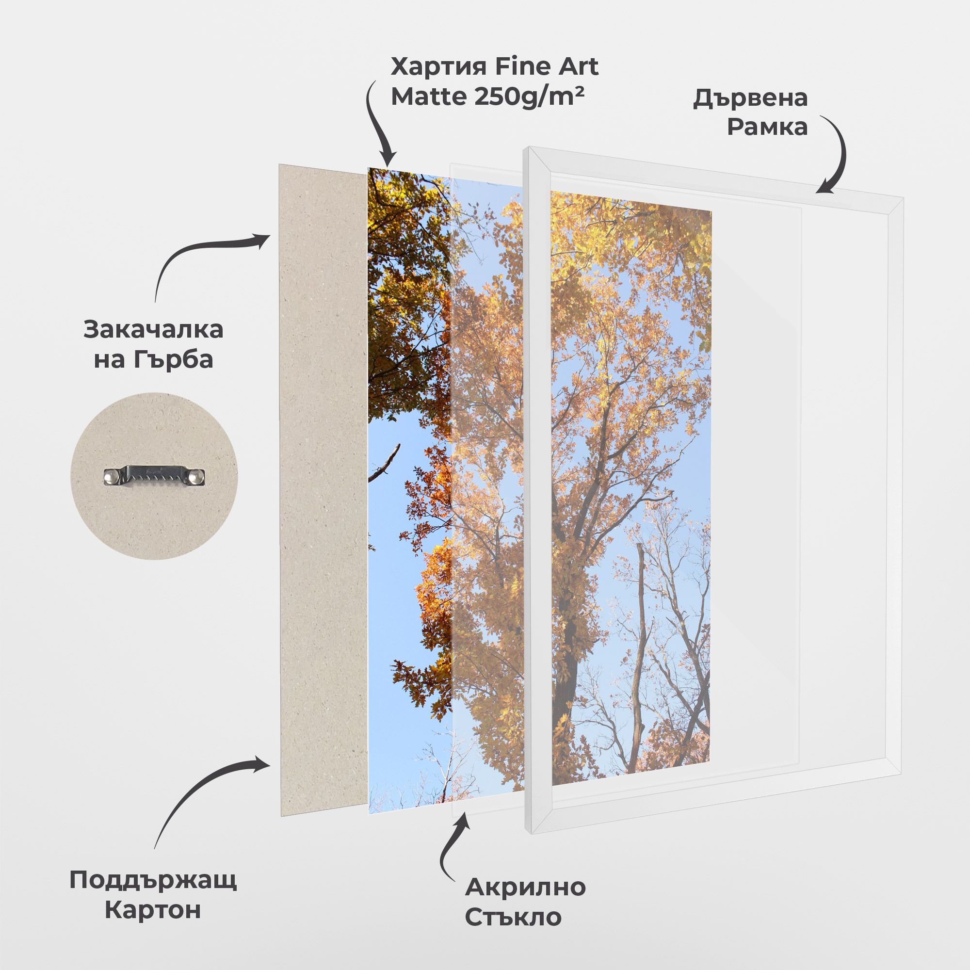 Yellow Tree Forest mockup 1