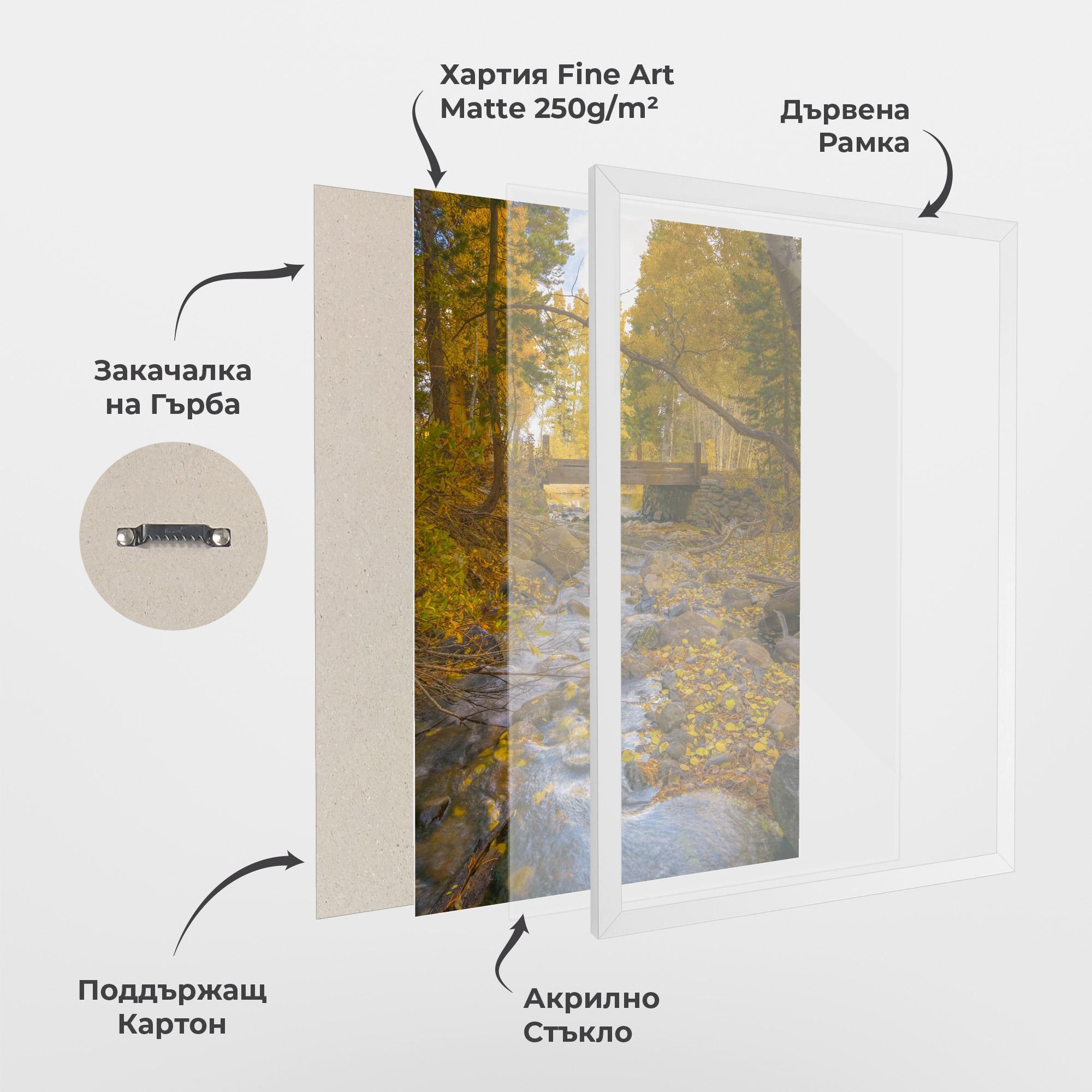 Рамкиран постер Yellow View Forest mockup 1