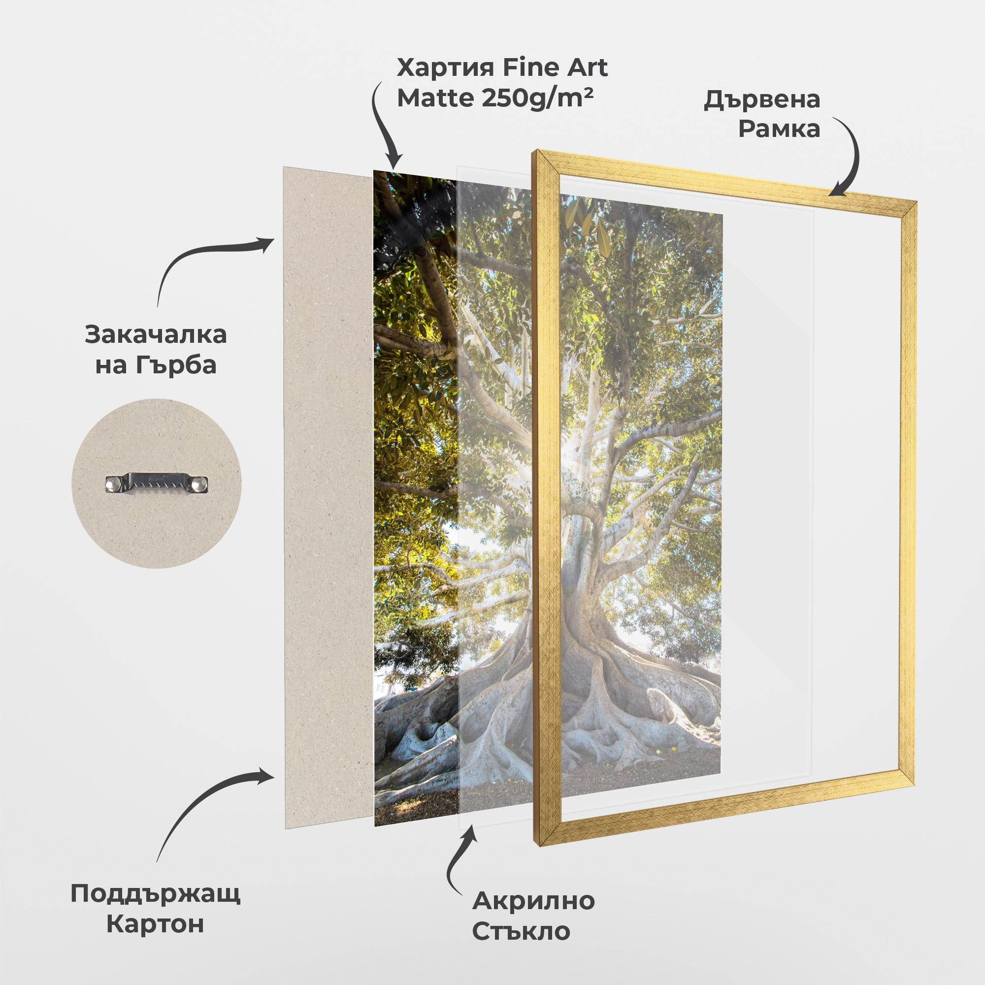 Рамкиран постер Big Old Tree mockup 1