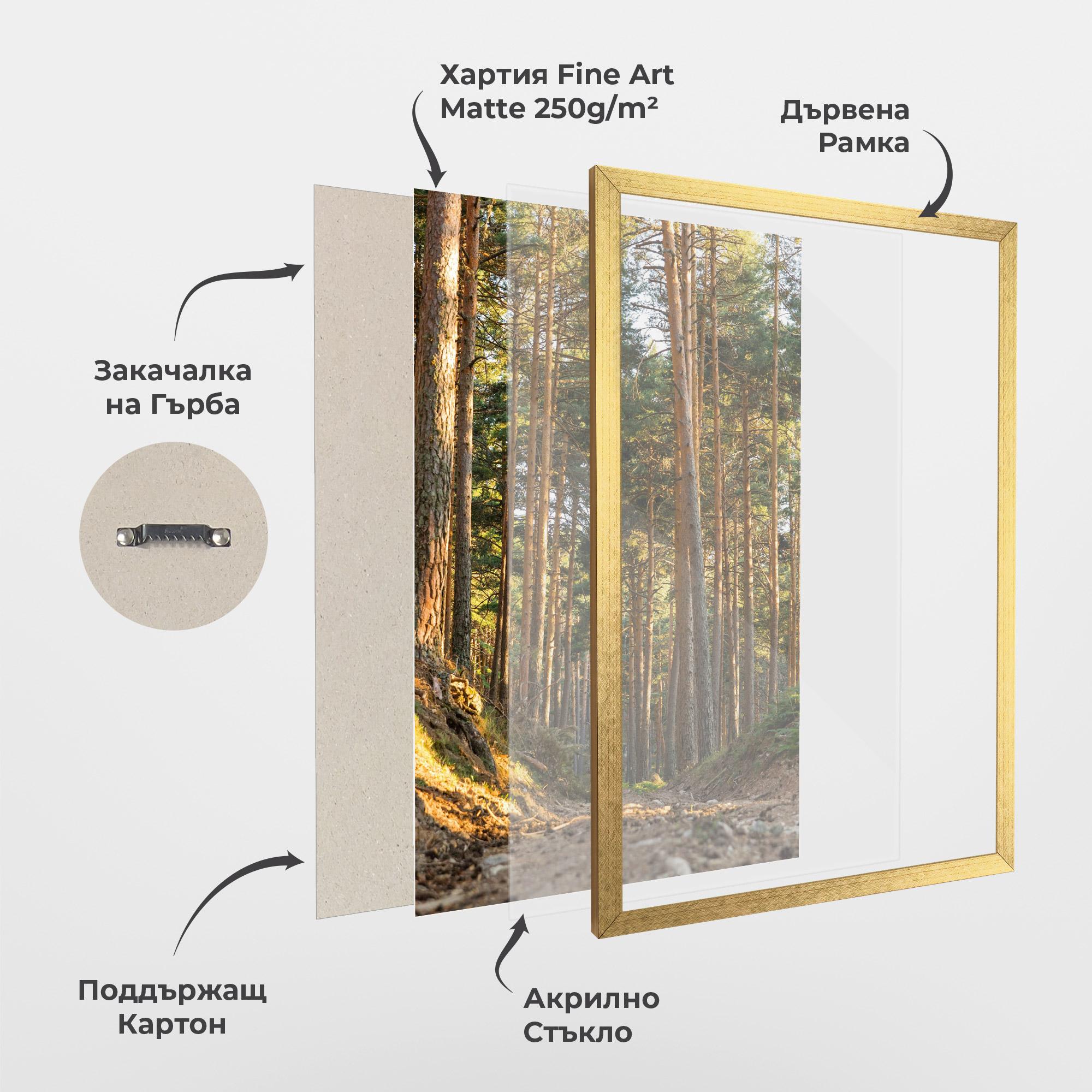 Рамкиран постер Big Trees Forest mockup 1